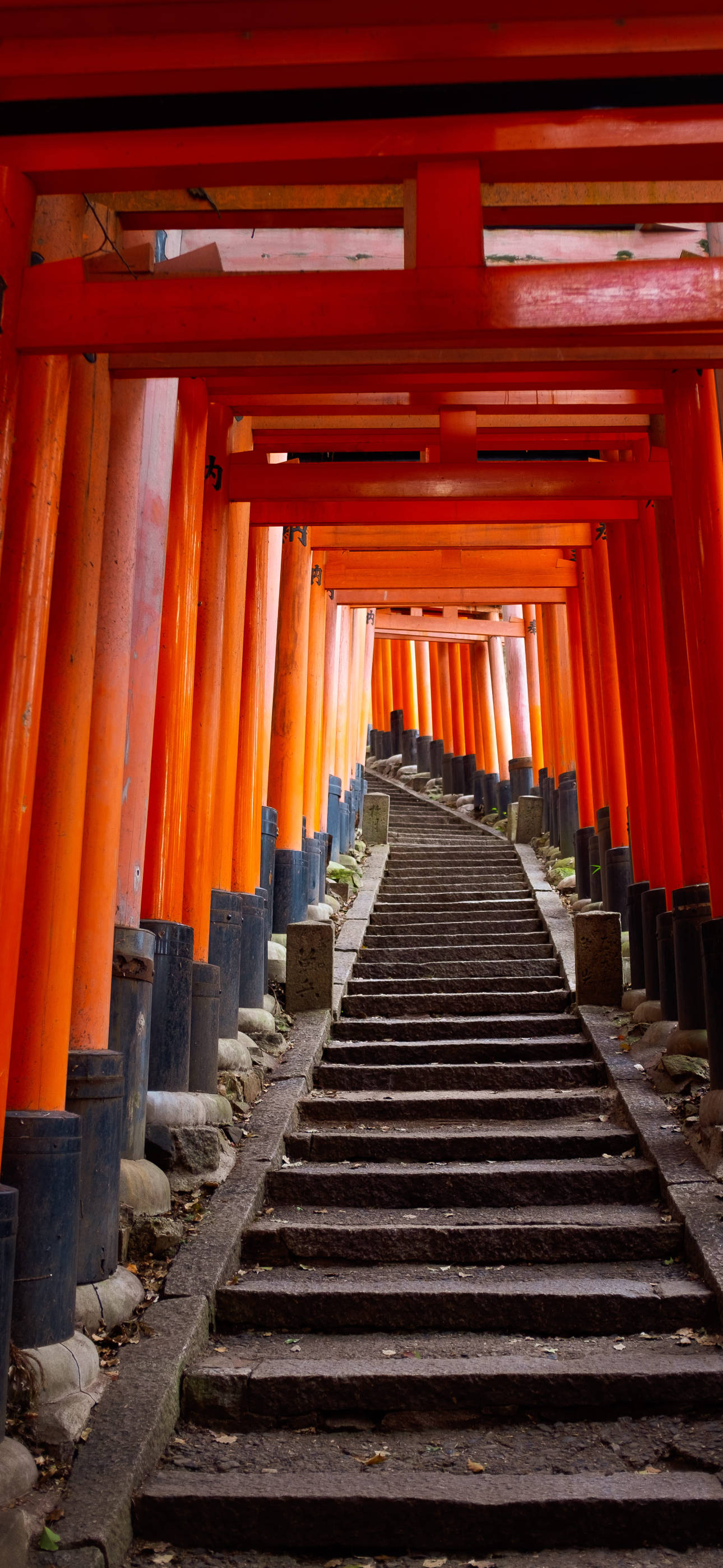 Japon Estetiği iPhone Torii Merdiveni Duvar Kağıdı