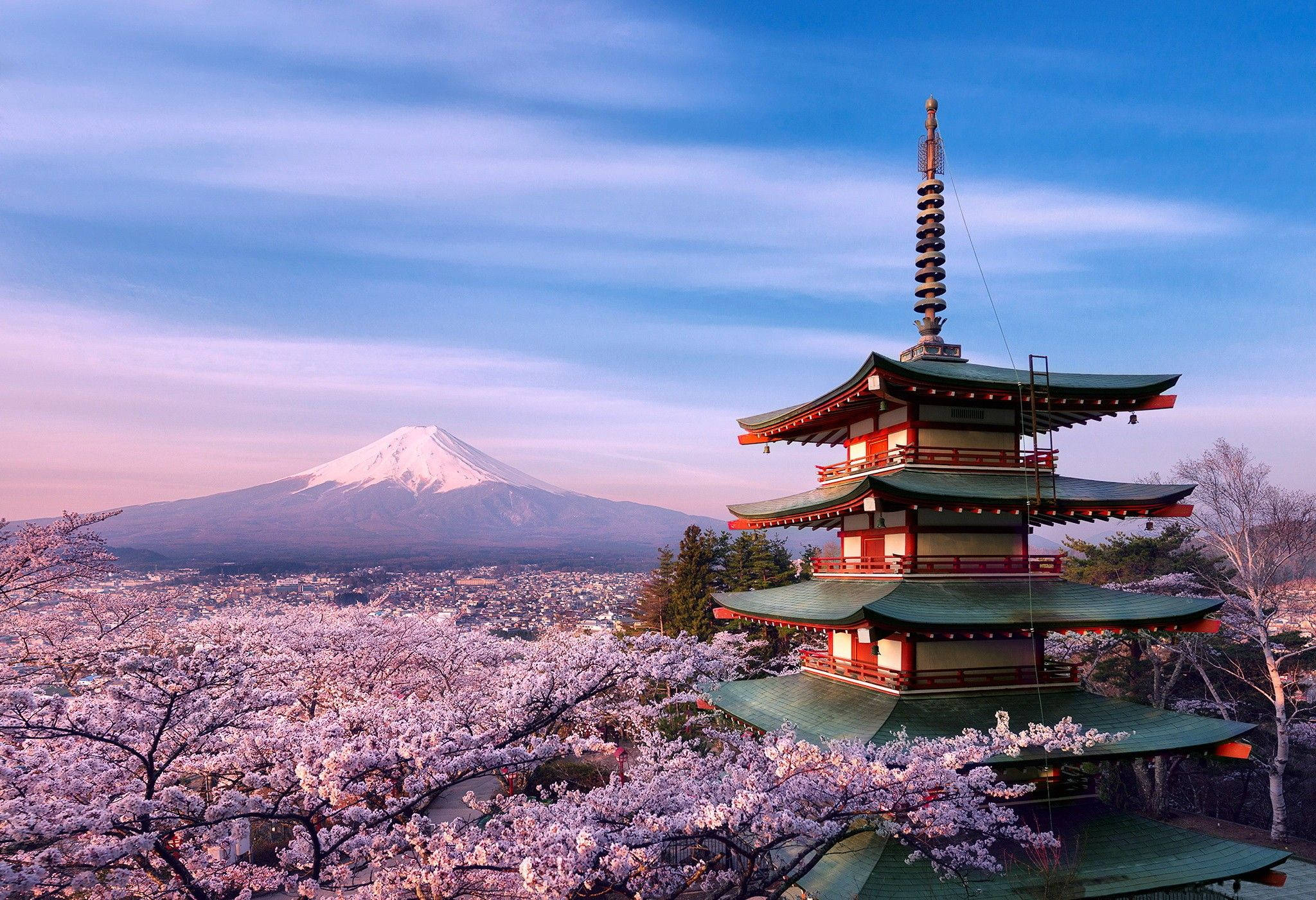 Japonya'da güzel bir kiraz çiçeği manzarasının keyfini çıkarın Duvar Kağıdı