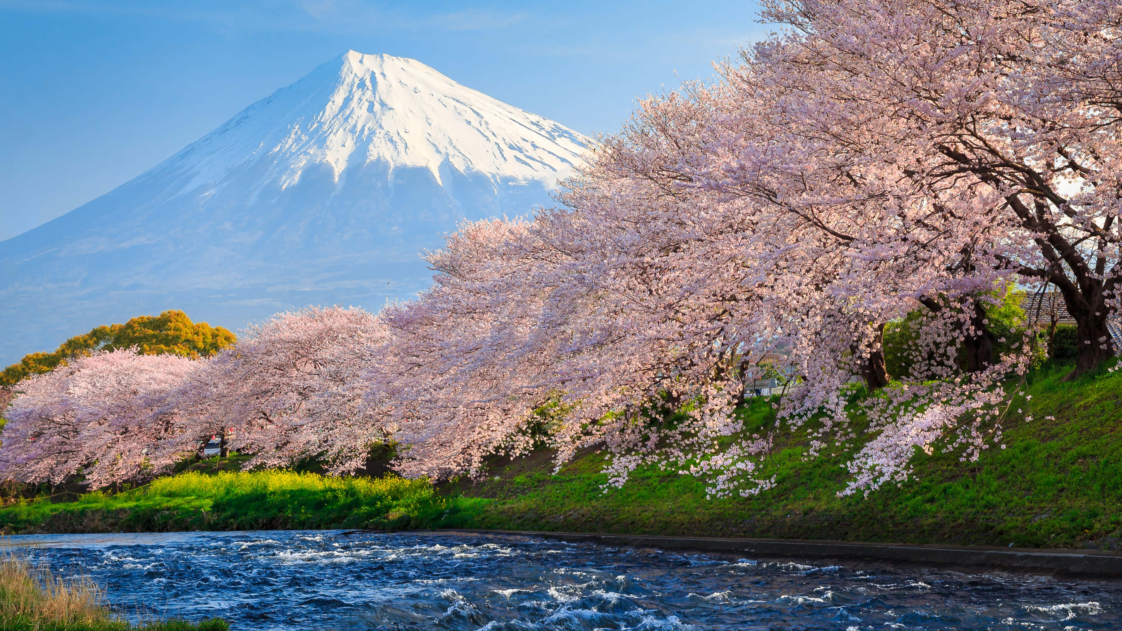 Japonya kırsalında geleneksel evler ve yeşilliklerle nefes kesici bir manzara Duvar Kağıdı