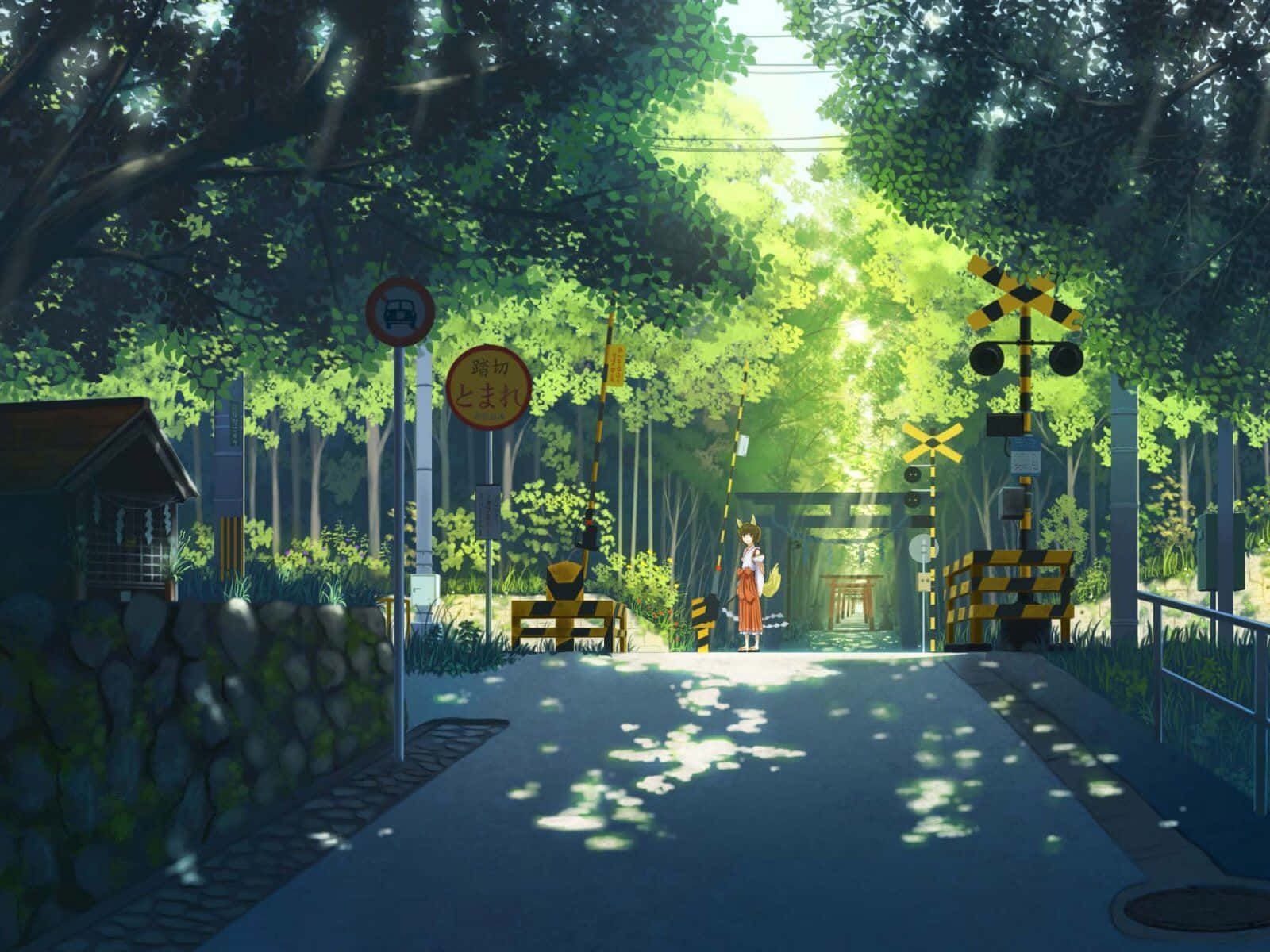 Japonya Yeşil Anime Sokağı Duvar Kağıdı