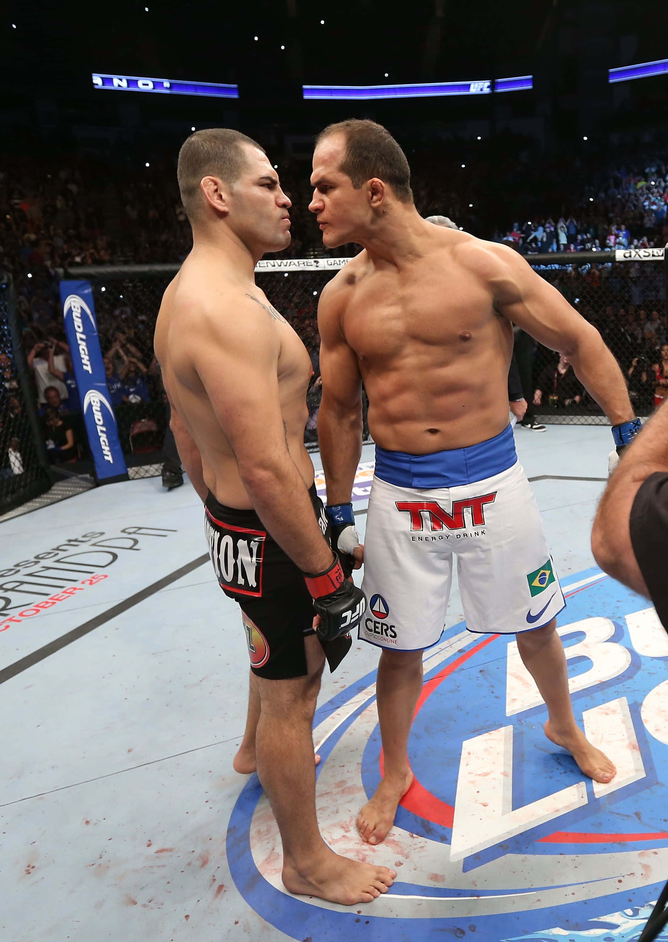 Junior Dos Santos UFC On Fox 1 Duvar Kağıdı