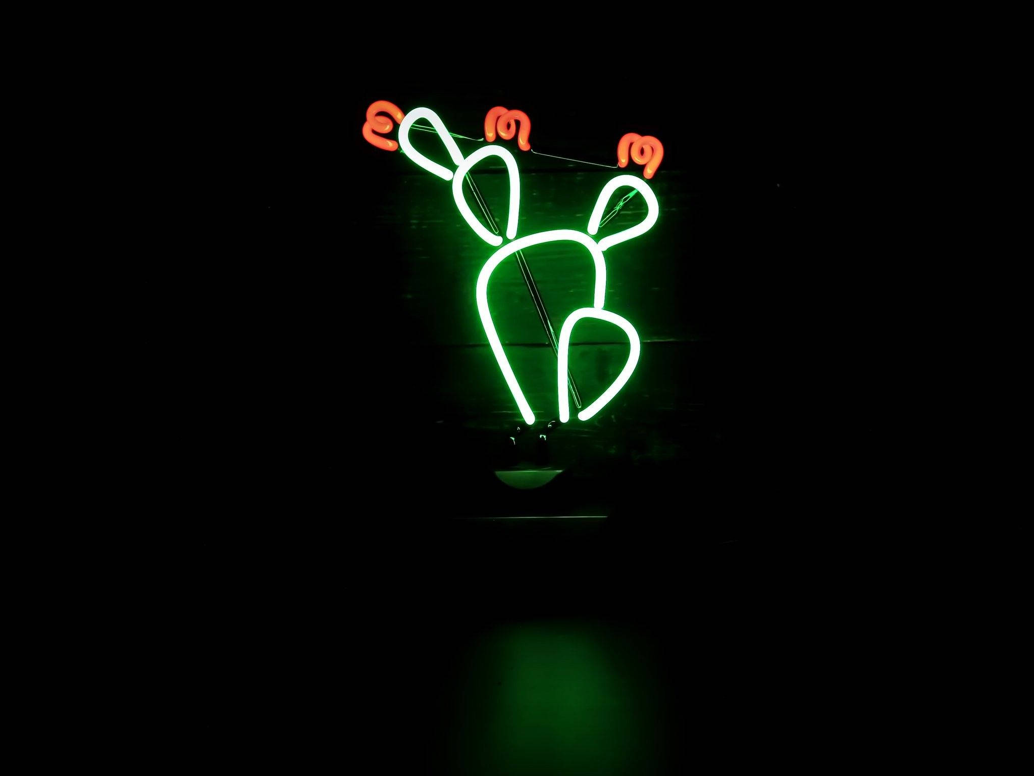 Kaktüs Çiçekleri Neon Yeşil Estetiği Duvar Kağıdı
