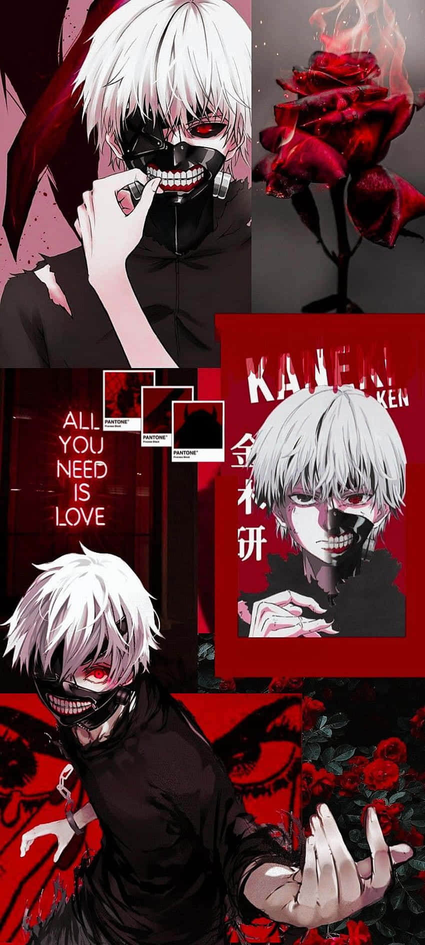 Kaneki Ken, Tokyo Ghoul'da adalet için savaşıyor Duvar Kağıdı