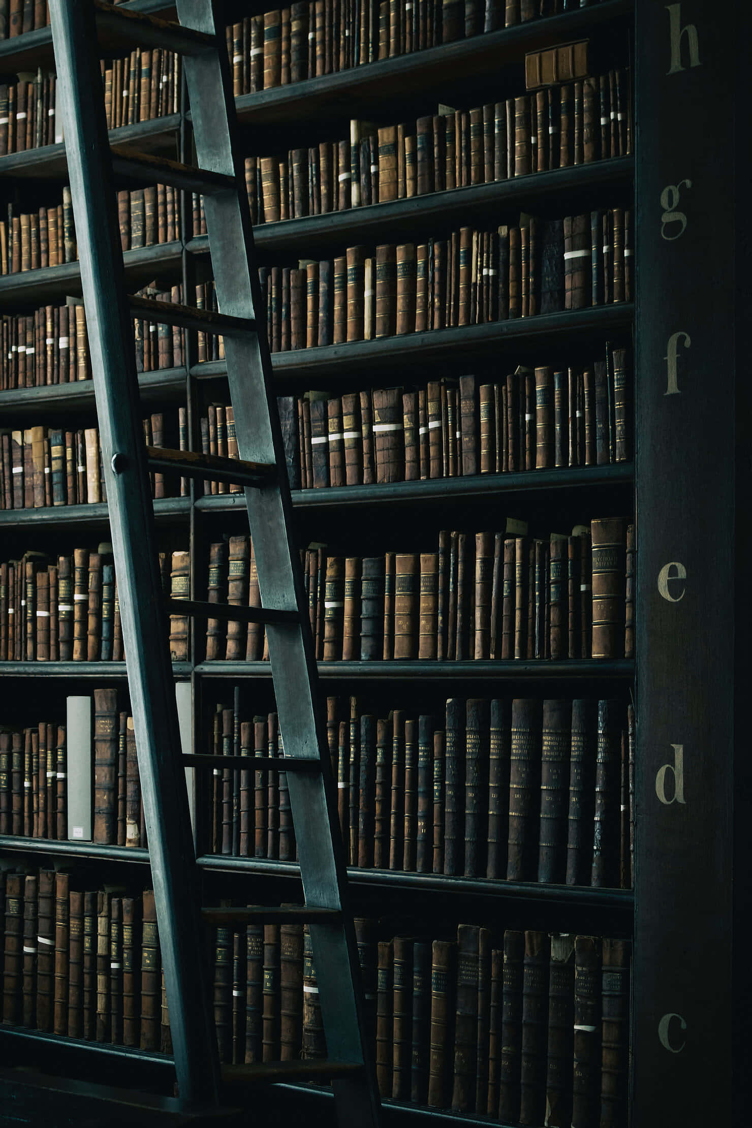 Karanlık Akademi arka planı Duvar Kağıdı