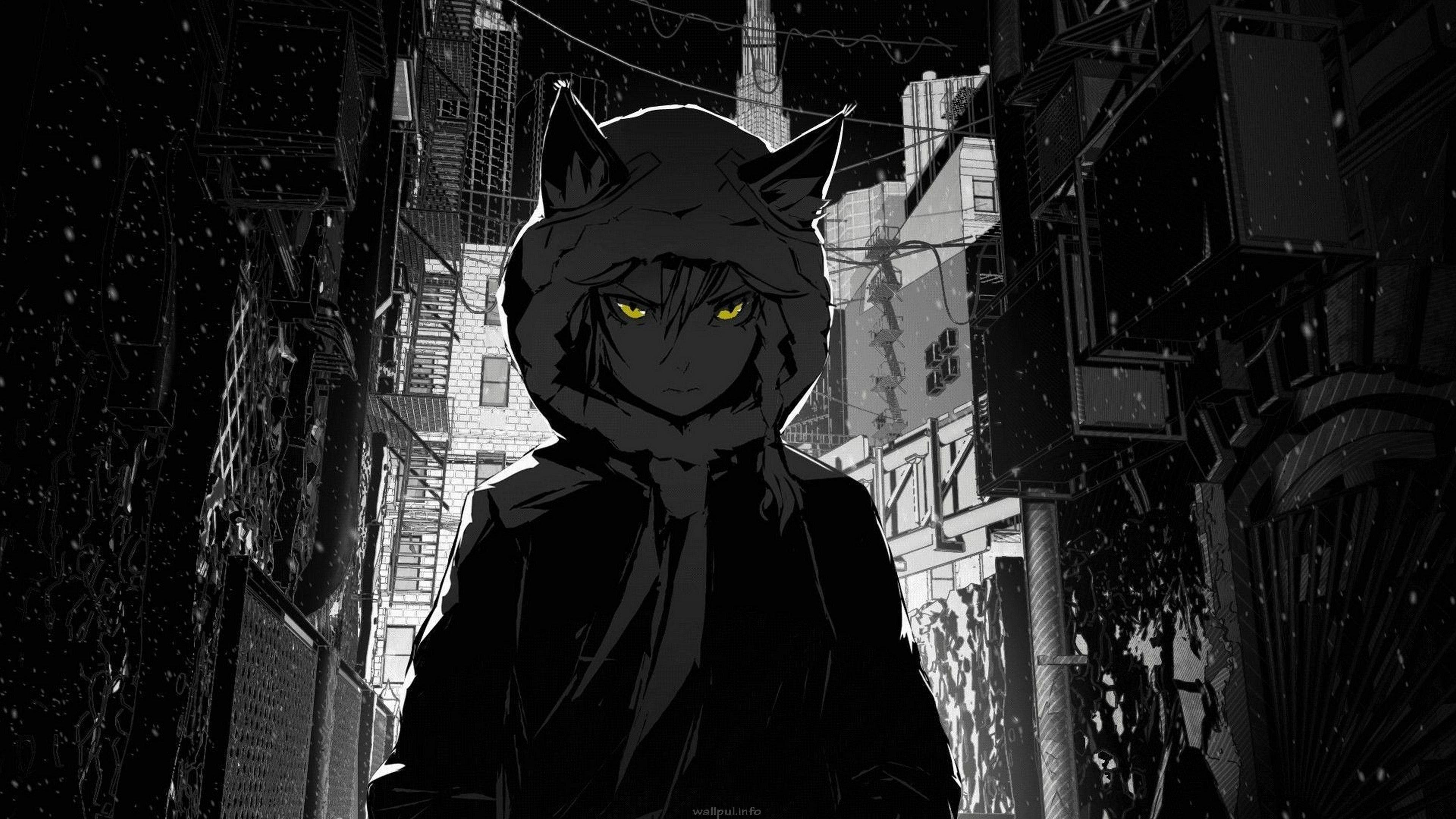 Karanlık Kız Kurt Edgy Anime Profil Fotoğrafı Duvar Kağıdı