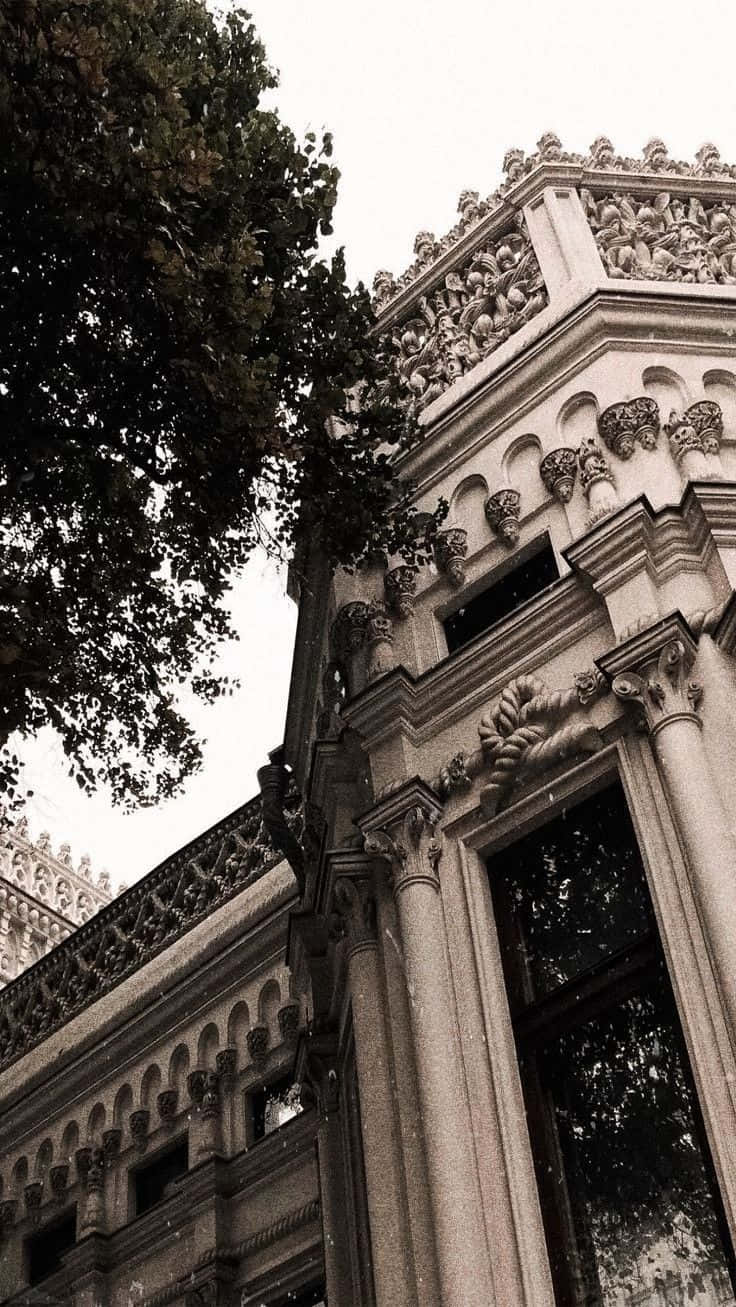 Karanlık Akademi arka planı Duvar Kağıdı