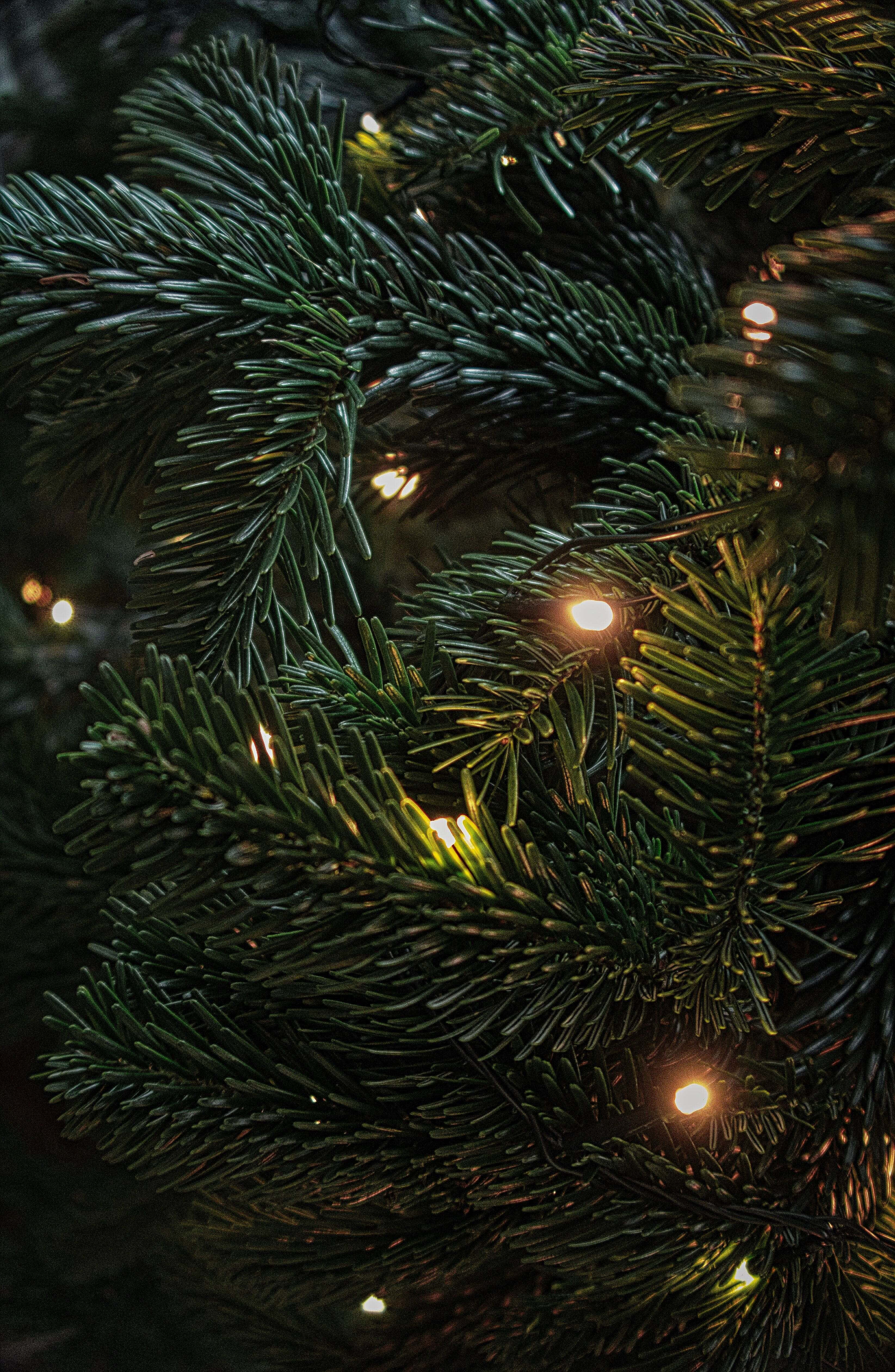 Karanlık Noel Sahnesi Duvar Kağıdı