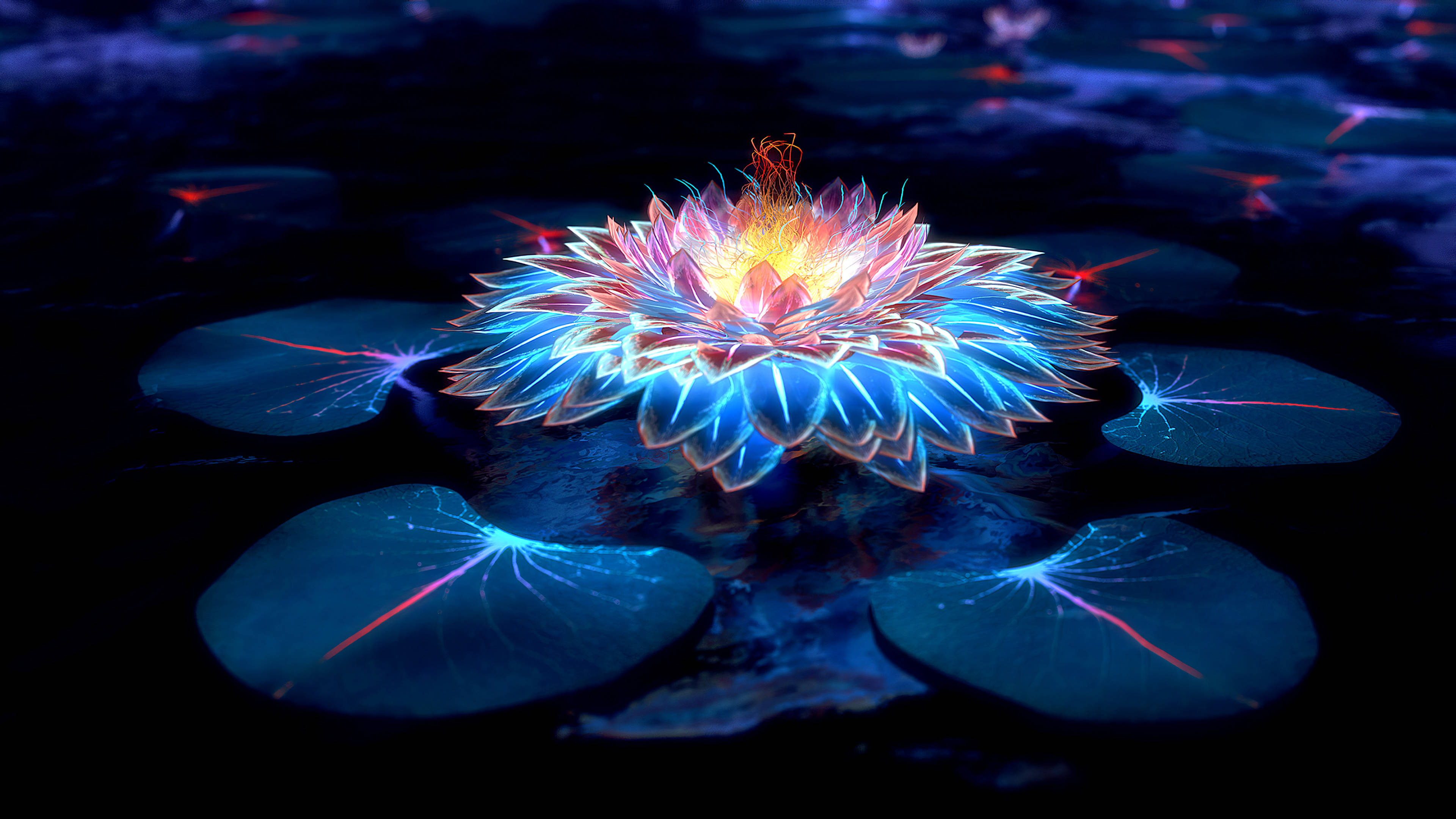Karanlıkta Lotus ve Işıklar Duvar Kağıdı