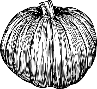 Karanlıktaki Balkabağı Duvar Kağıdı