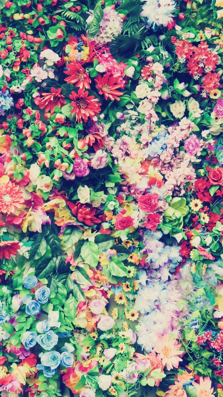 Karışık Renkli Çiçekler Floral iPhone Duvar Kağıdı