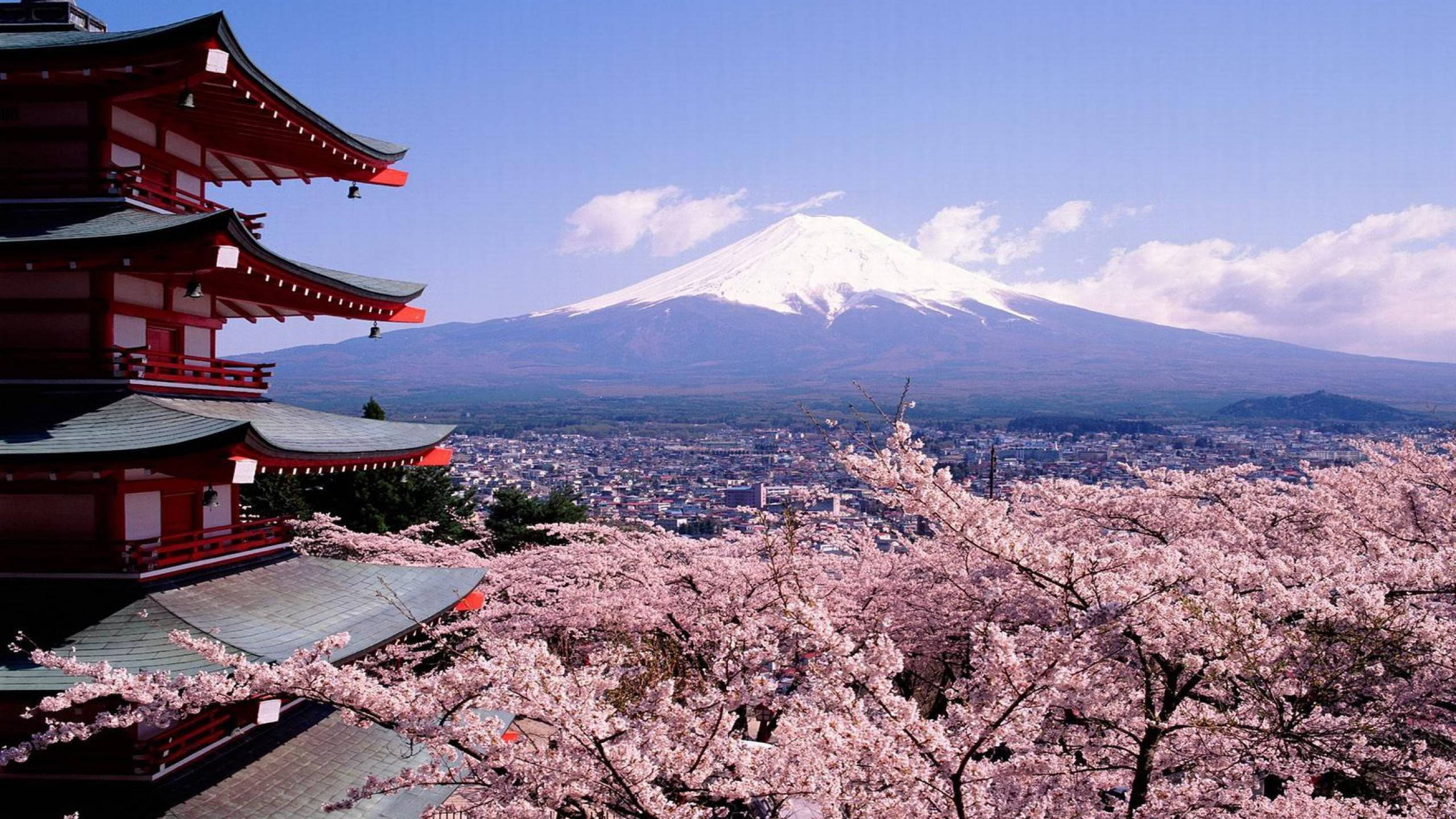 Karlı Fuji Dağı Japonya Duvar Kağıdı