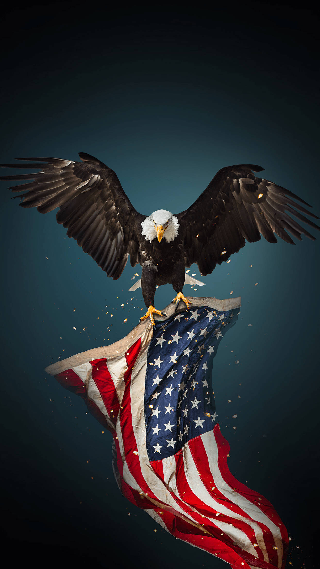 Kartal Amerikan Bayrağı Havalı iPhone Duvar Kağıdı