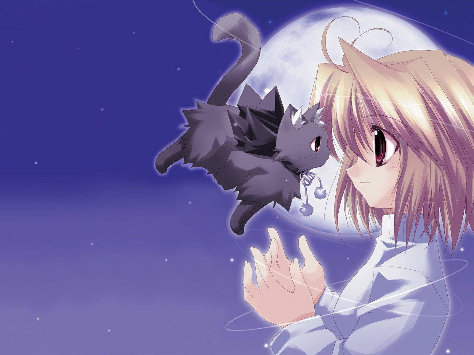 Kawaii Anime Arcueid Brunestud Uçan Kediyle Duvar Kağıdı