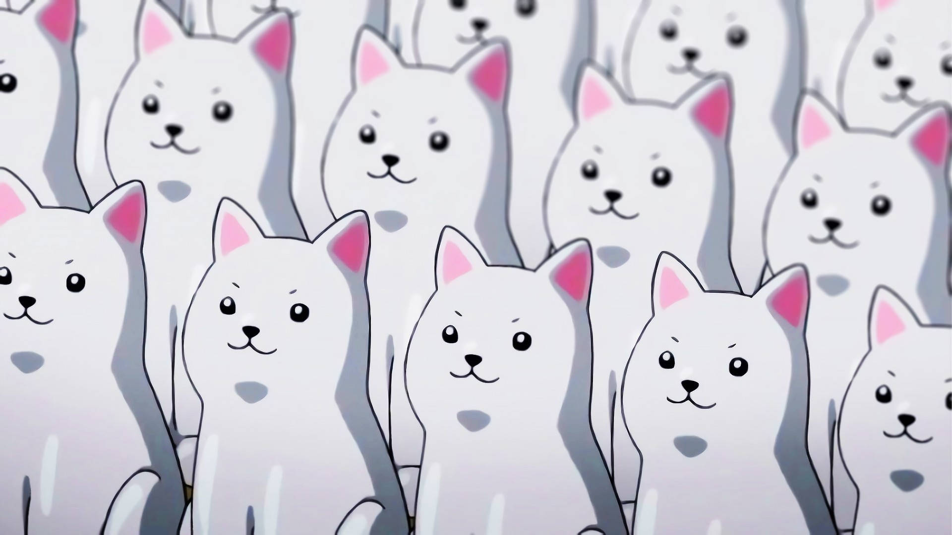 Kawaii HD Beyaz Köpekler Duvar Kağıdı