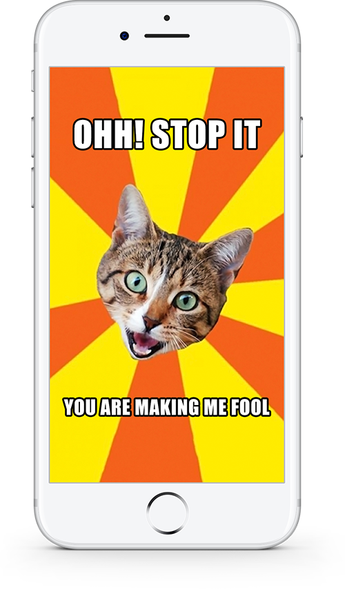 Kedi Memesi Ohh Dur Yapma Beni Aptal Yerine Koyuyorsun Duvar Kağıdı