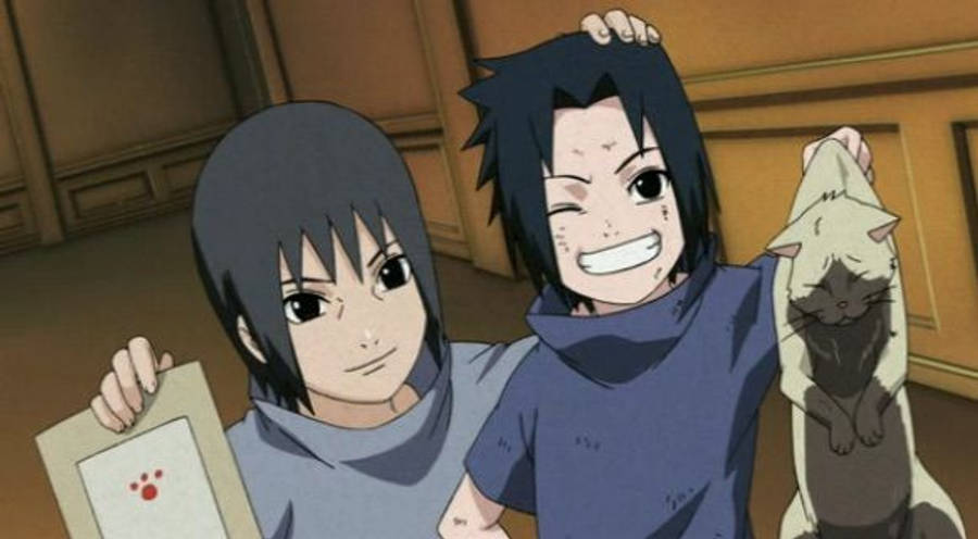 Kedi Naruto Itachi Uchiha 4K Duvar Kağıdı
