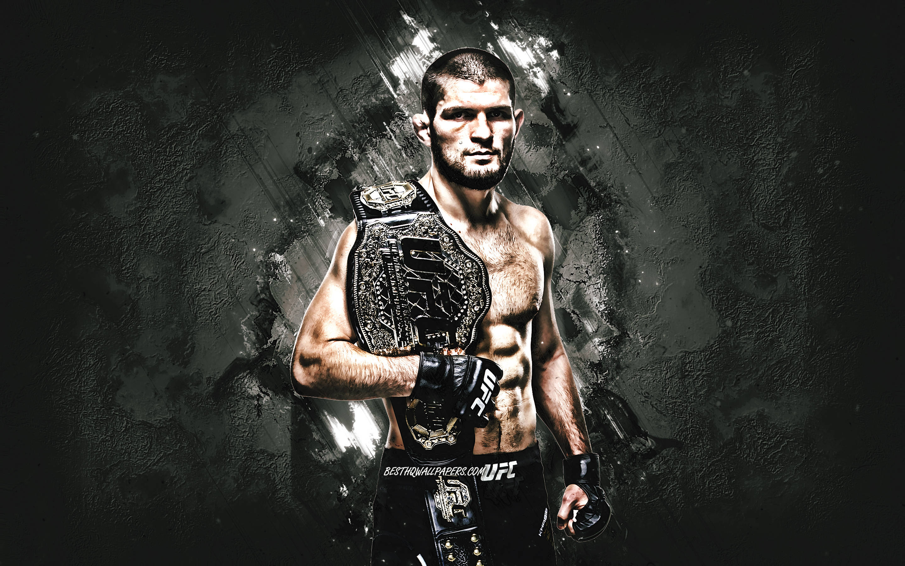 Khabib Nurmagomedov Koyu Estetik Duvar Kağıdı