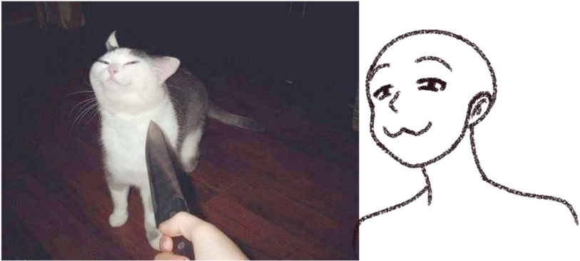 Kibar Kedi Meme Çizimi Duvar Kağıdı