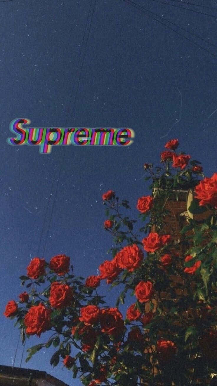 Kırmızı Çiçekler Supreme Estetik Tumblr Duvar Kağıdı