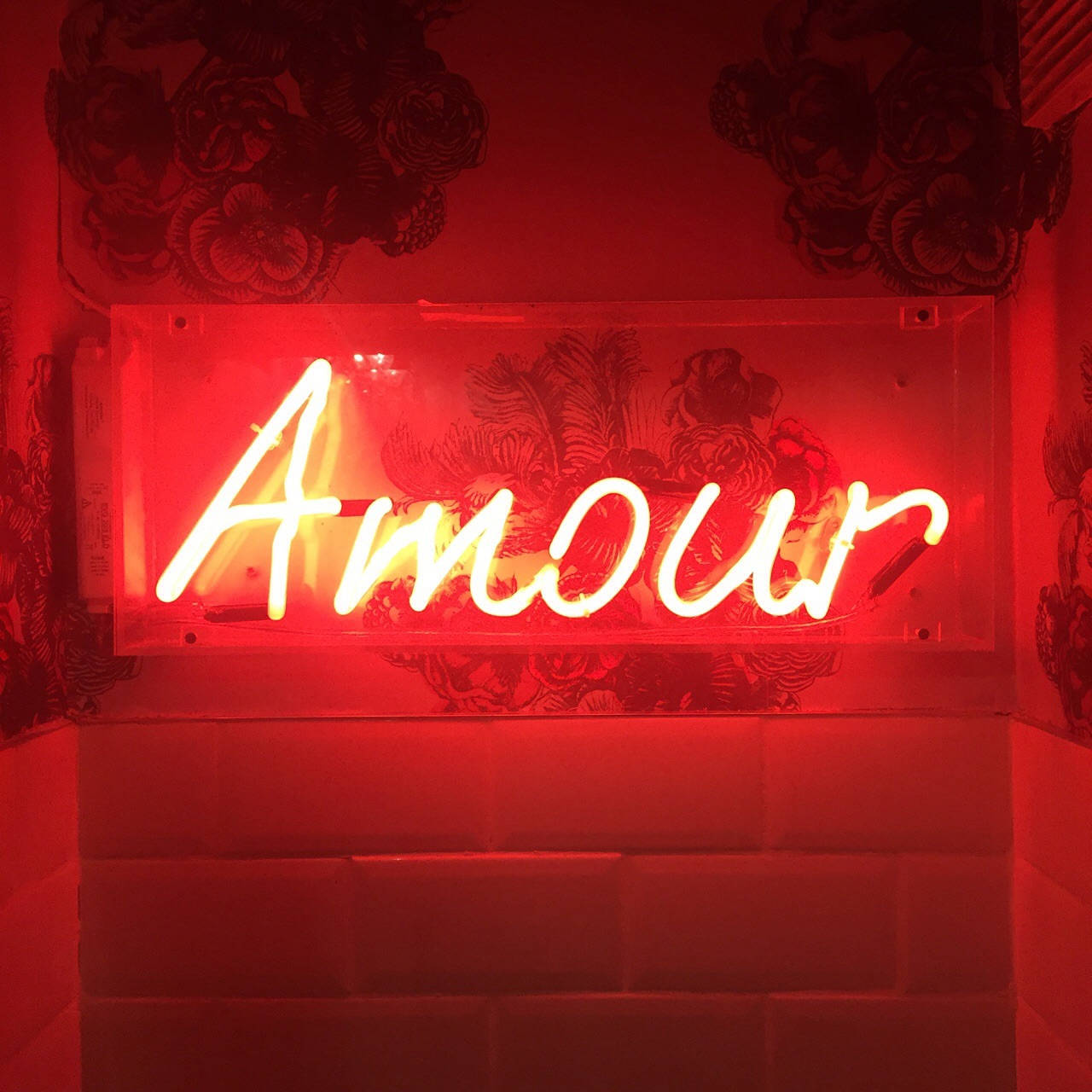 Kırmızı Estetik Neon Amour Duvar Kağıdı