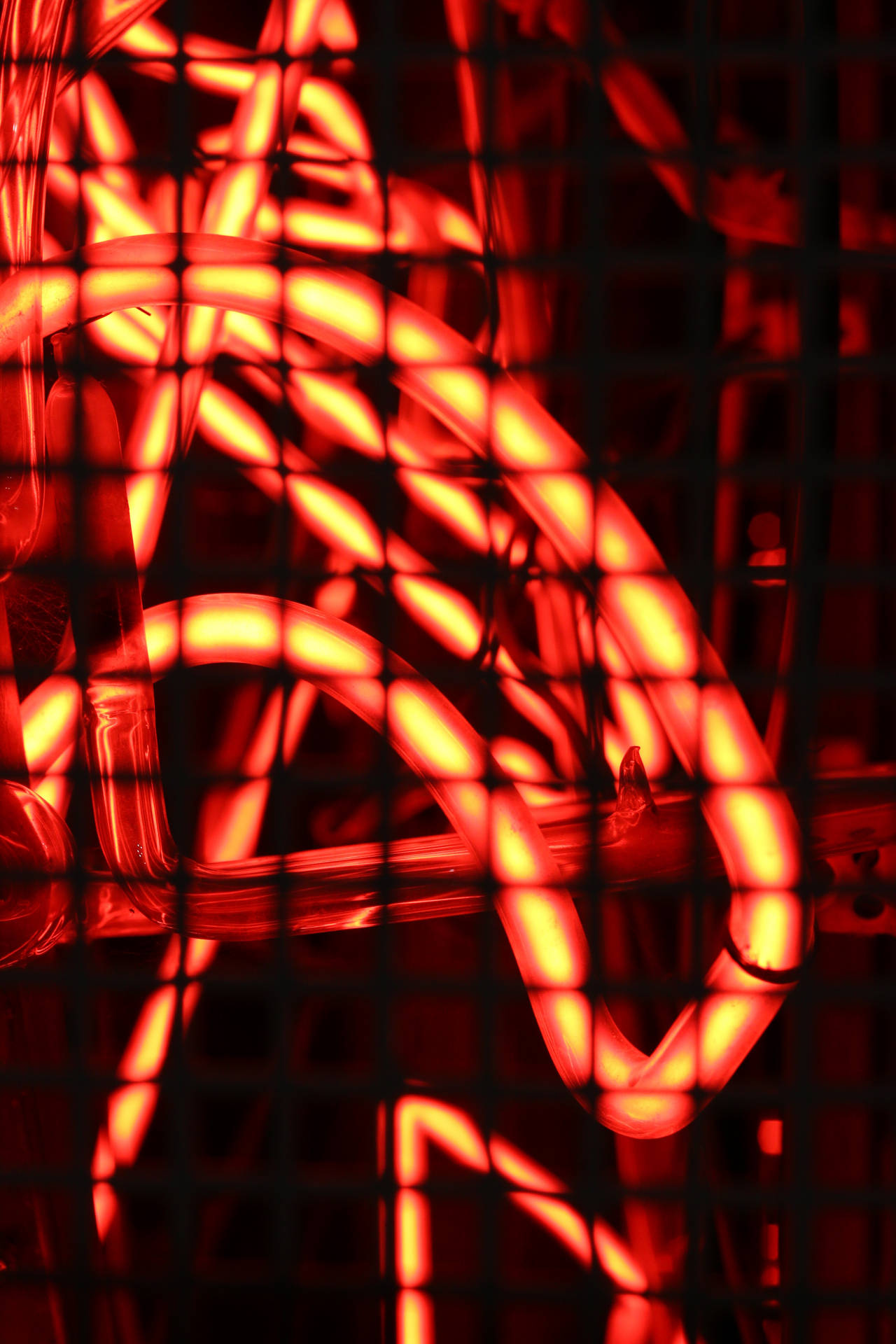Kırmızı Neon Ağ duvar kağıdı