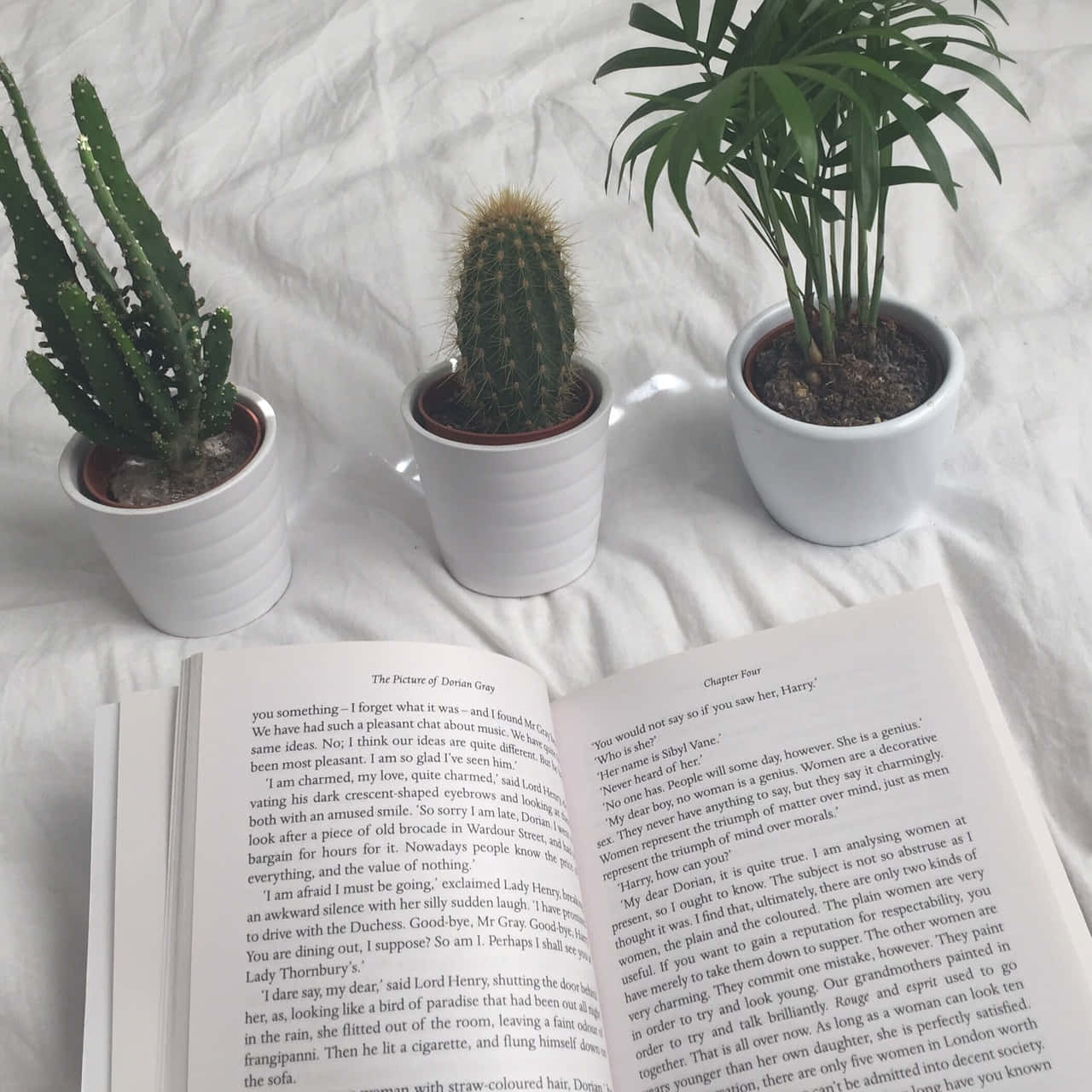 "Kitapların dünyasını keşfedin! 📖" Duvar Kağıdı