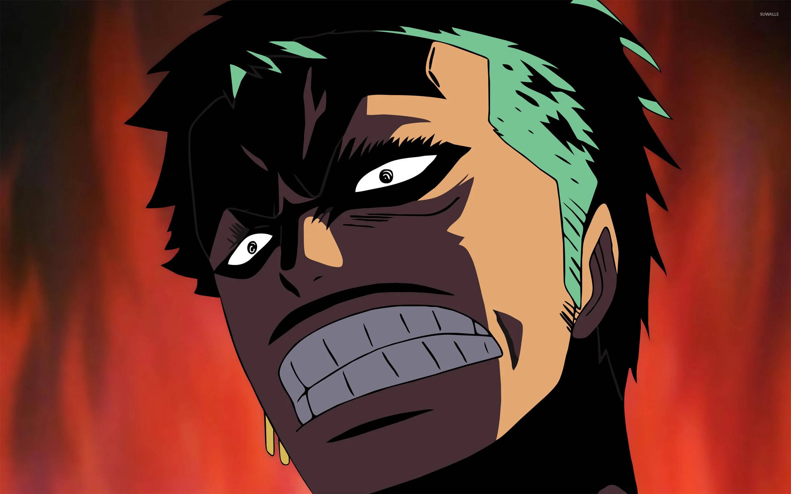 Komik Anime One Piece Zoro Duvar Kağıdı