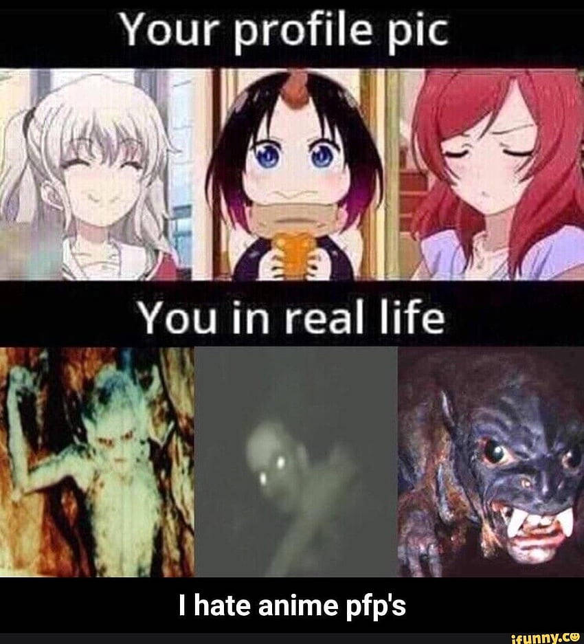 Komik Meme PFP Duvar Kağıdı