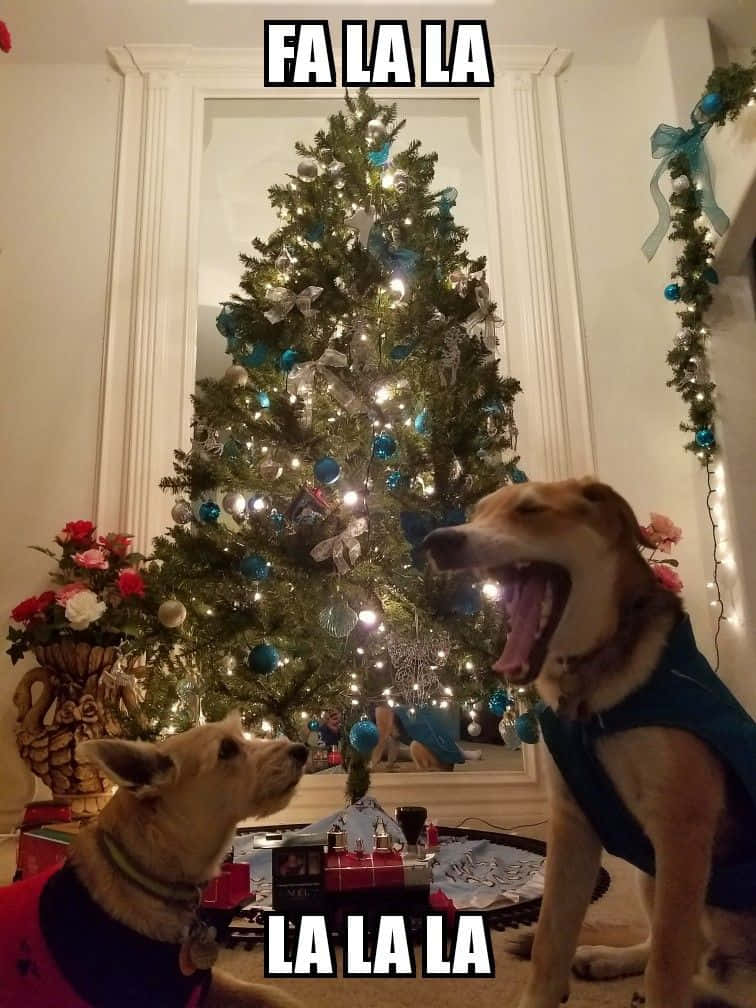 Komik Noel resimleri Duvar Kağıdı