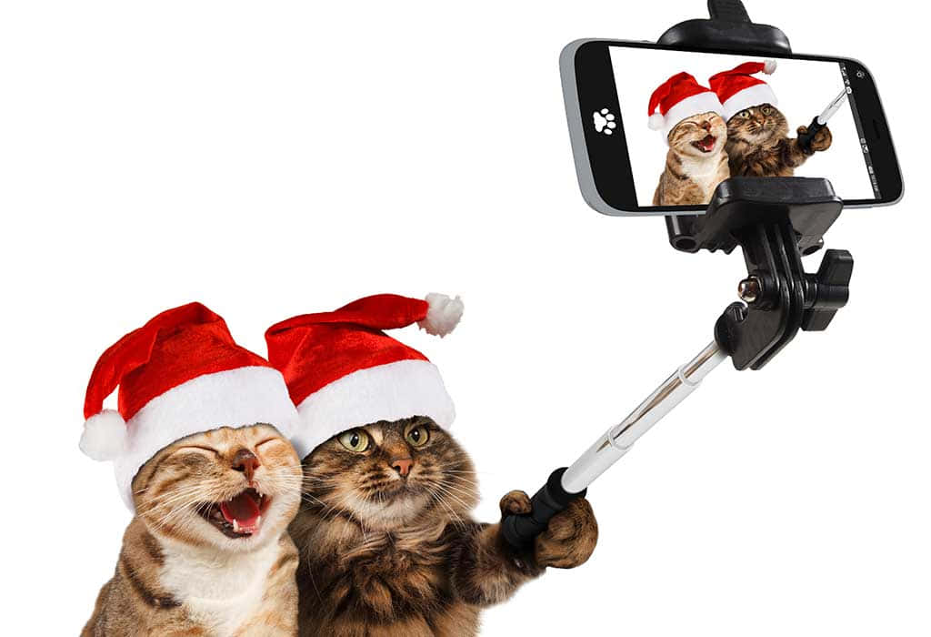 Komik Noel resimleri Duvar Kağıdı