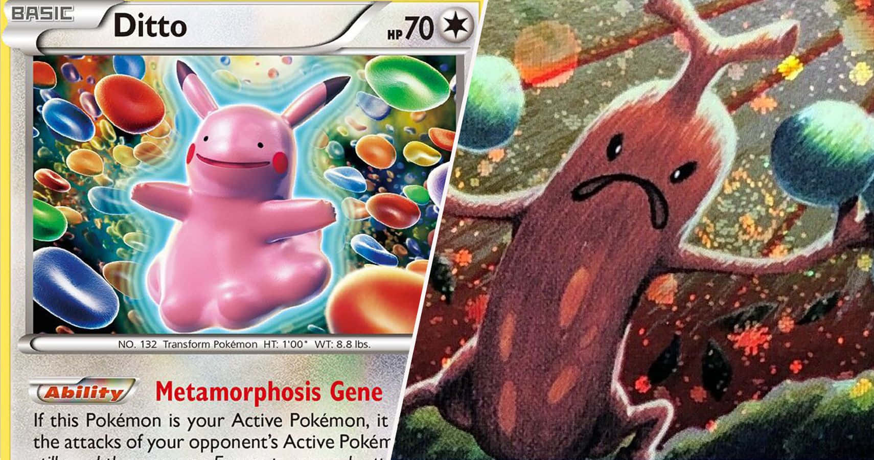 Komik Pokemon Ditto Resmi Duvar Kağıdı