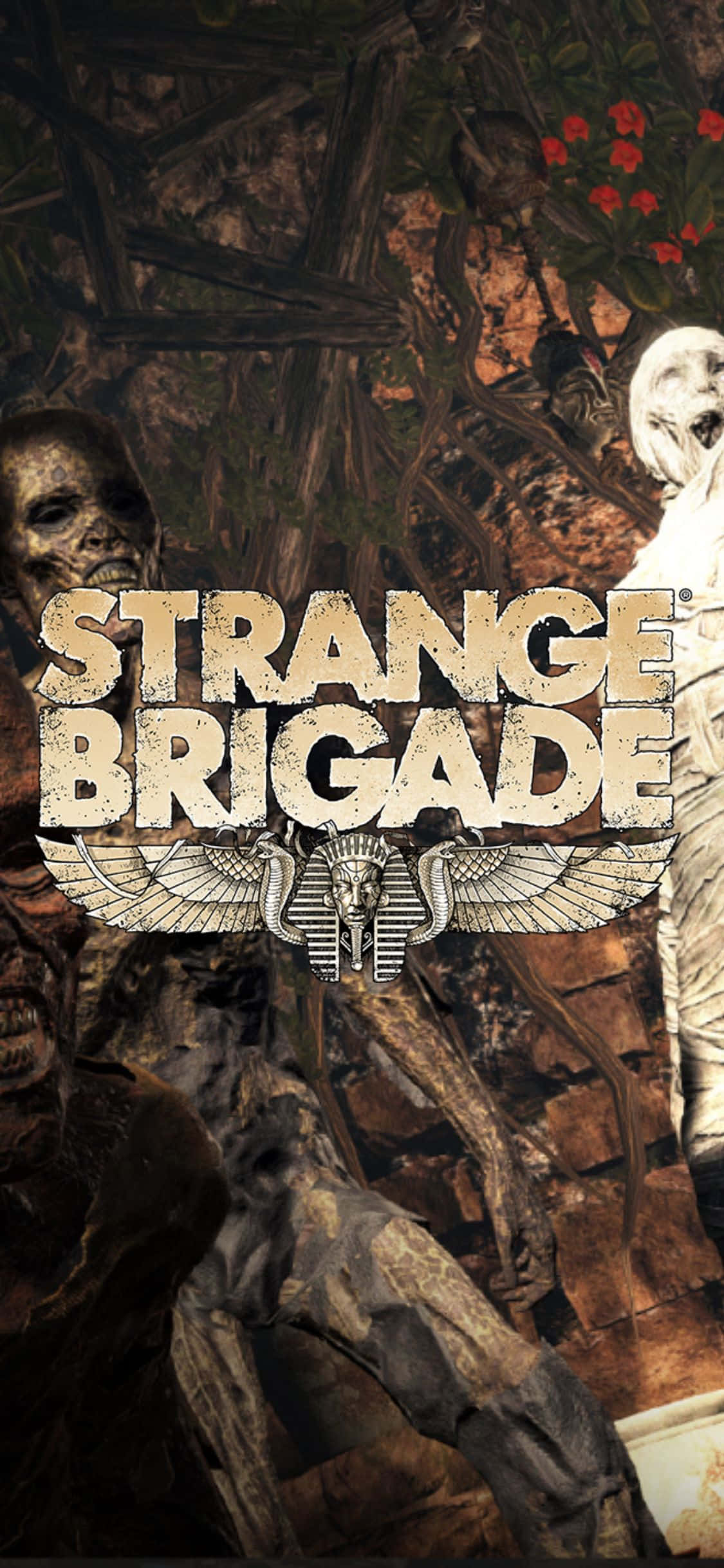 Korkunç İskelet Zombiler iPhone X Strange Brigade Arkaplan Duvar Kağıdı