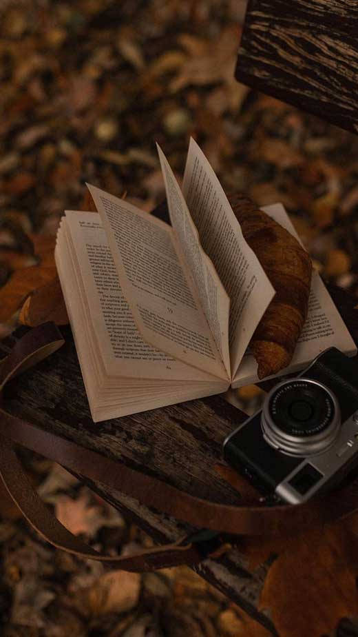 Koyu Kahverengi Estetik Kitap ve Kamera Duvar Kağıdı