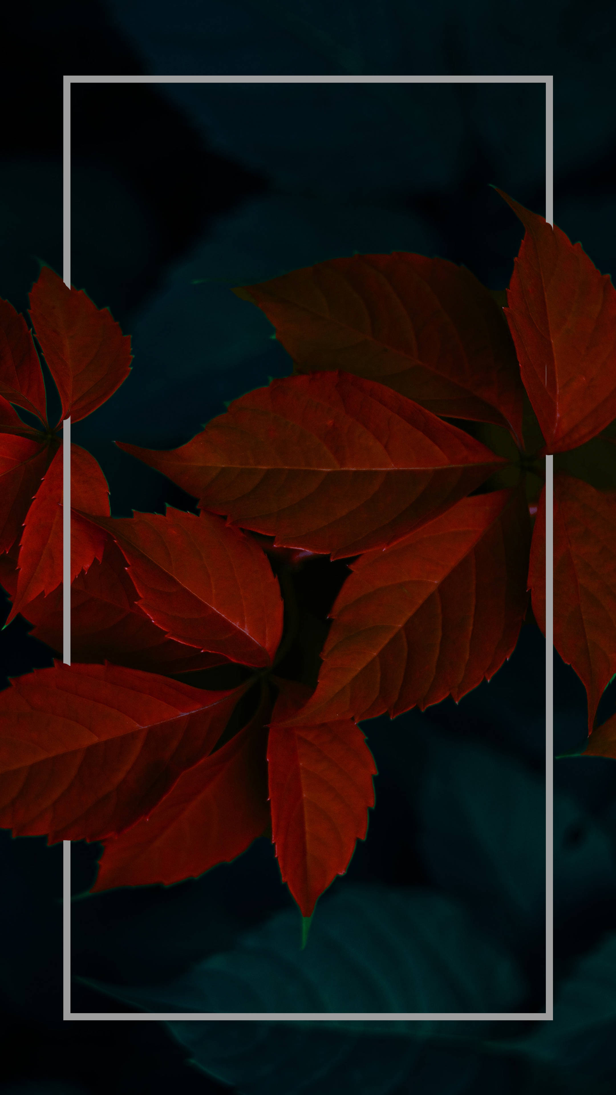 Koyu Kırmızı Minimalist Bitki Yaprakları Duvar Kağıdı