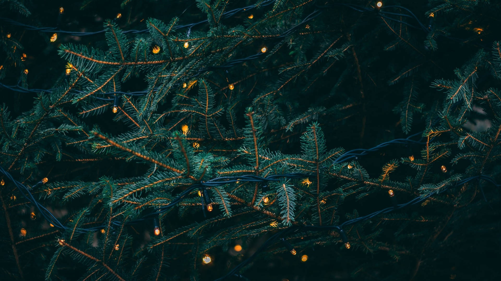 Koyu Yeşil Noel Estetiği Masaüstü Duvar Kağıdı