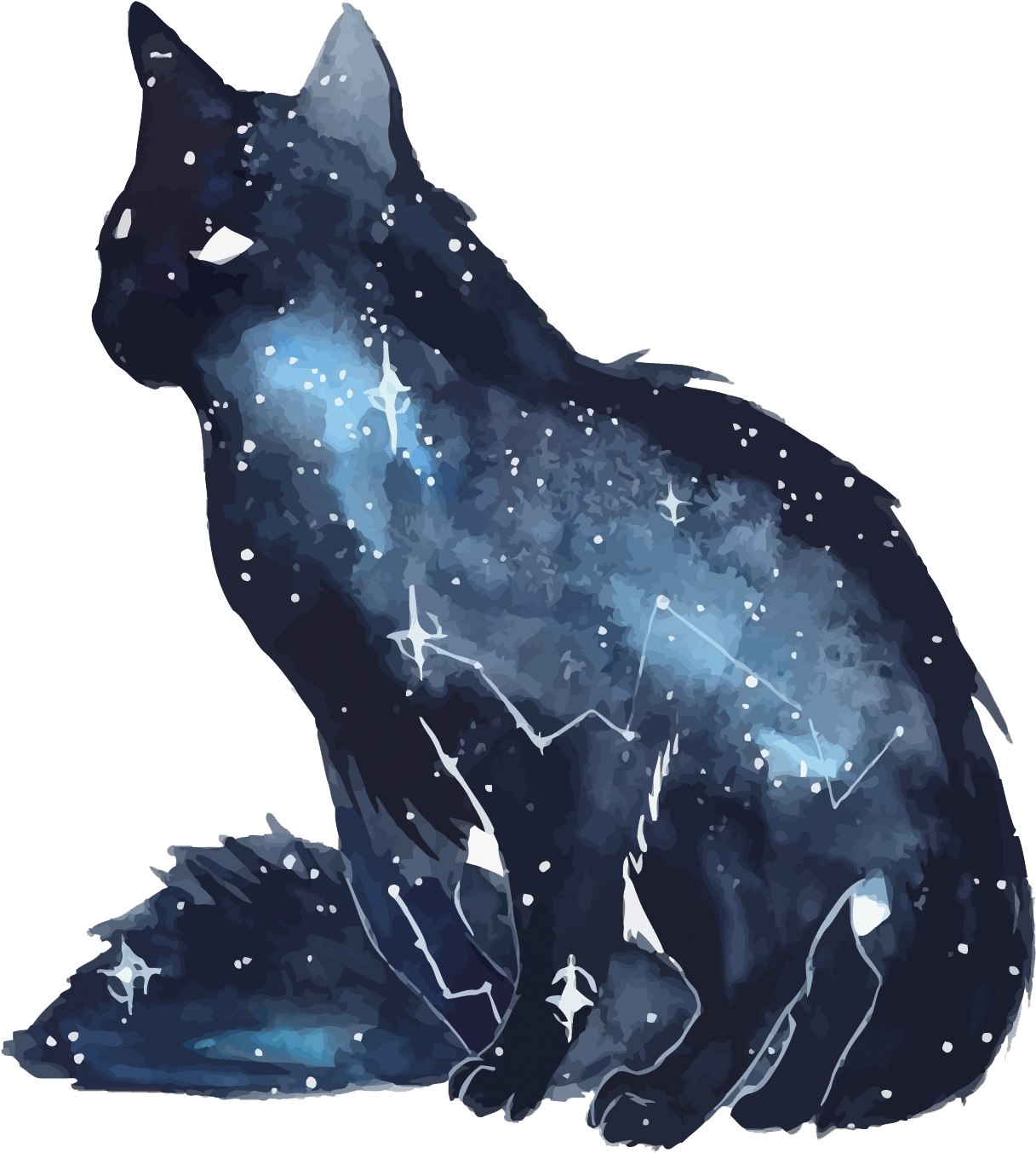 Kozmik Kedi Galaksi Kedisi.PNG Duvar Kağıdı
