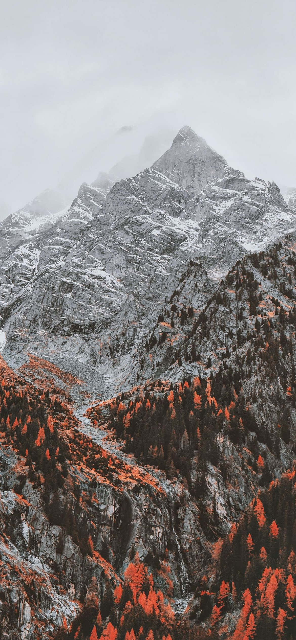kırmızı ağaçlar ve bir dağ ile bir dağ silsilesi Duvar Kağıdı