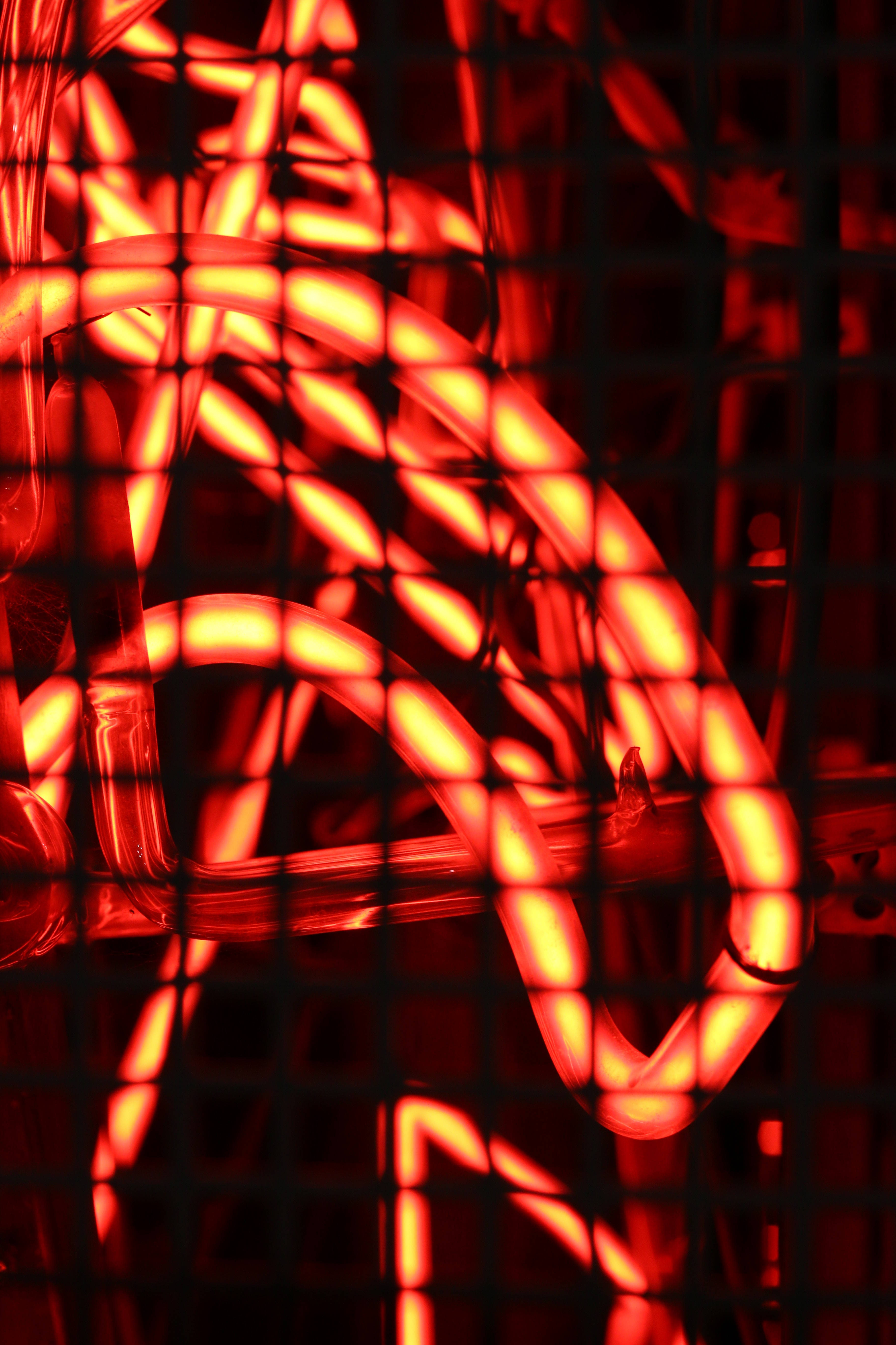Kırmızı Neon Ağ Duvar Kağıdı