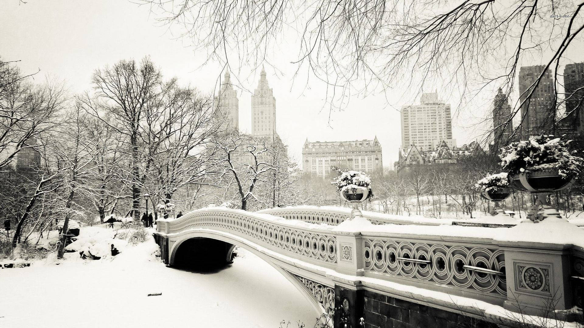 Kış Estetiği Central Park Duvar Kağıdı