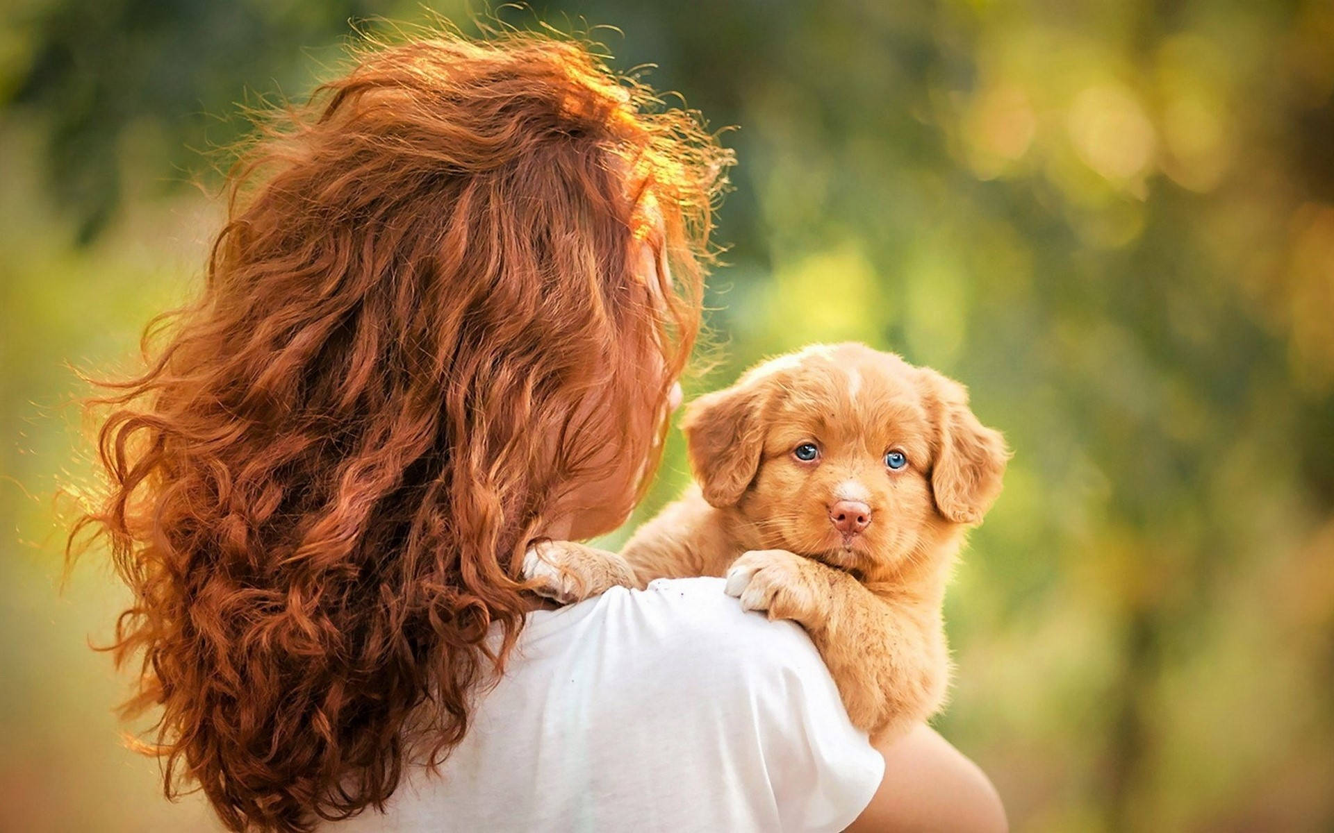 Küçük Altın Rengi Sevimli Köpek Yavrusu ve Kadın Duvar Kağıdı