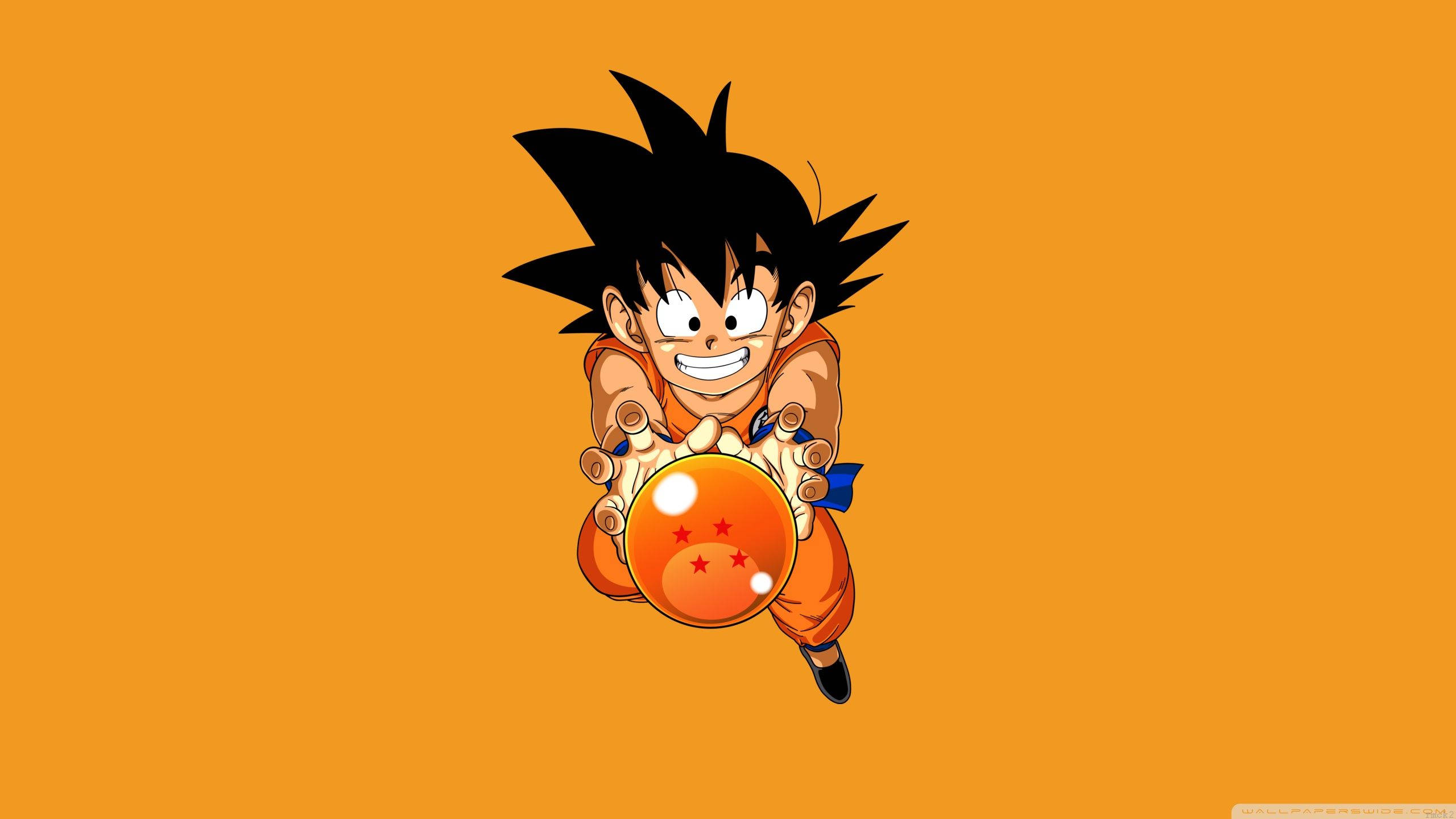 Küçük Goku gururla 4 yıldızlı dragon topunu tutuyor Duvar Kağıdı