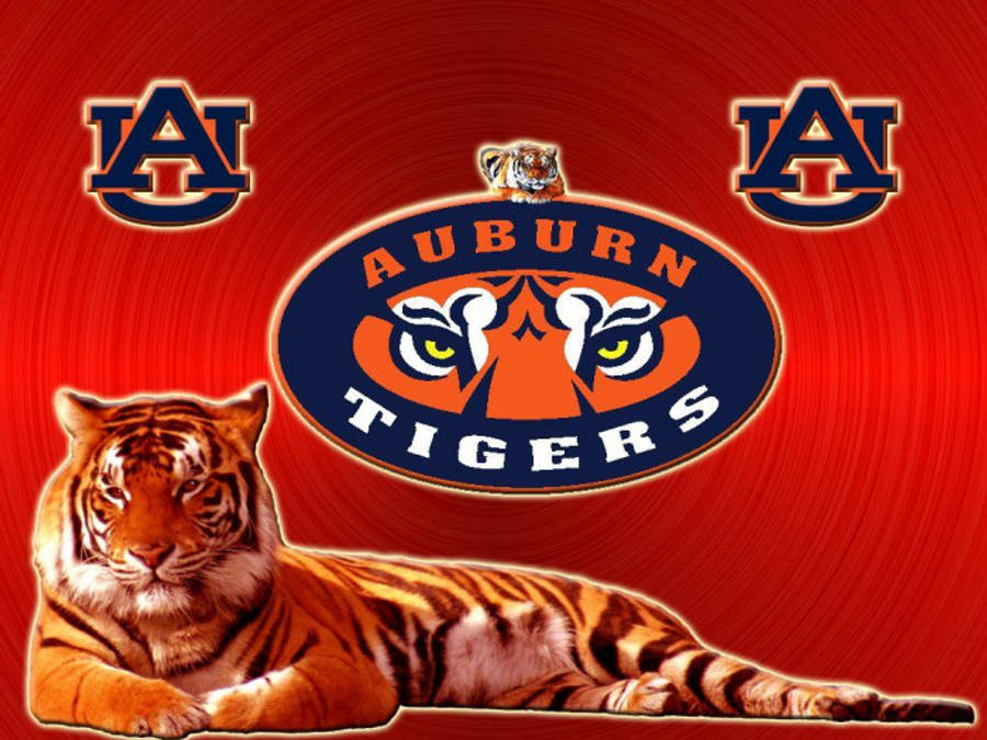 Kükreyen Kaplan, Auburn Futbol Maç Gününde Duvar Kağıdı
