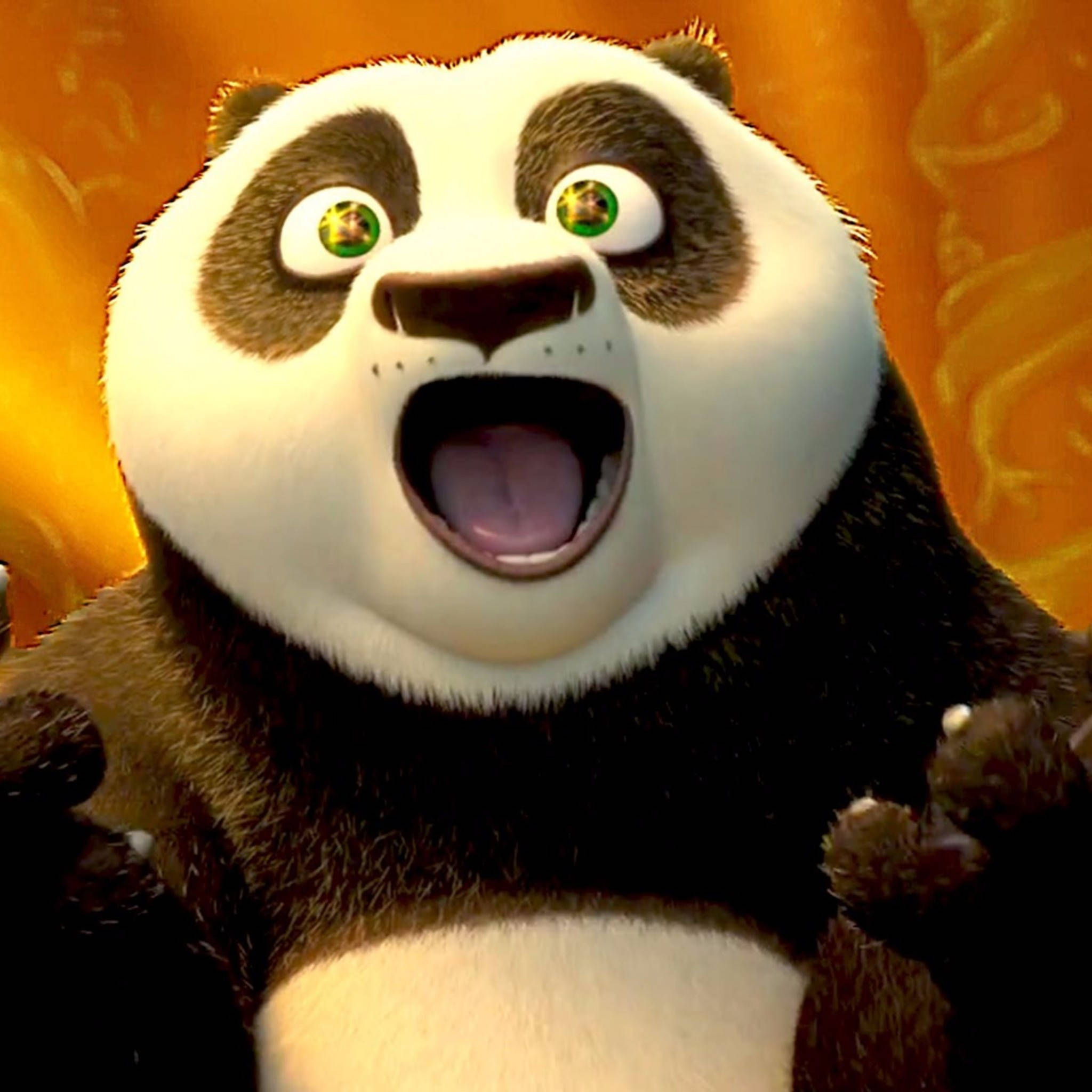 Kung Fu Panda Mutlu ve Heyecanlı Duvar Kağıdı