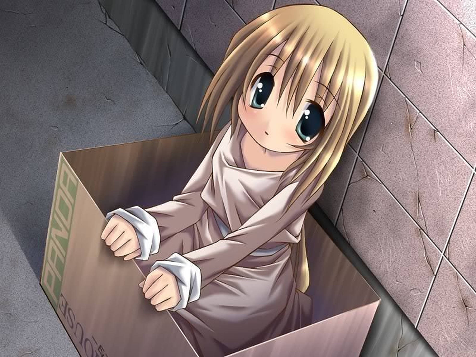 Kutunun İçindeki Anime Çocuğu Duvar Kağıdı