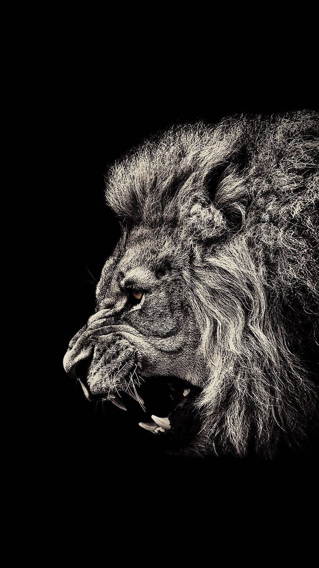 Kızgın Aslan iPhone Sanatı Duvar Kağıdı