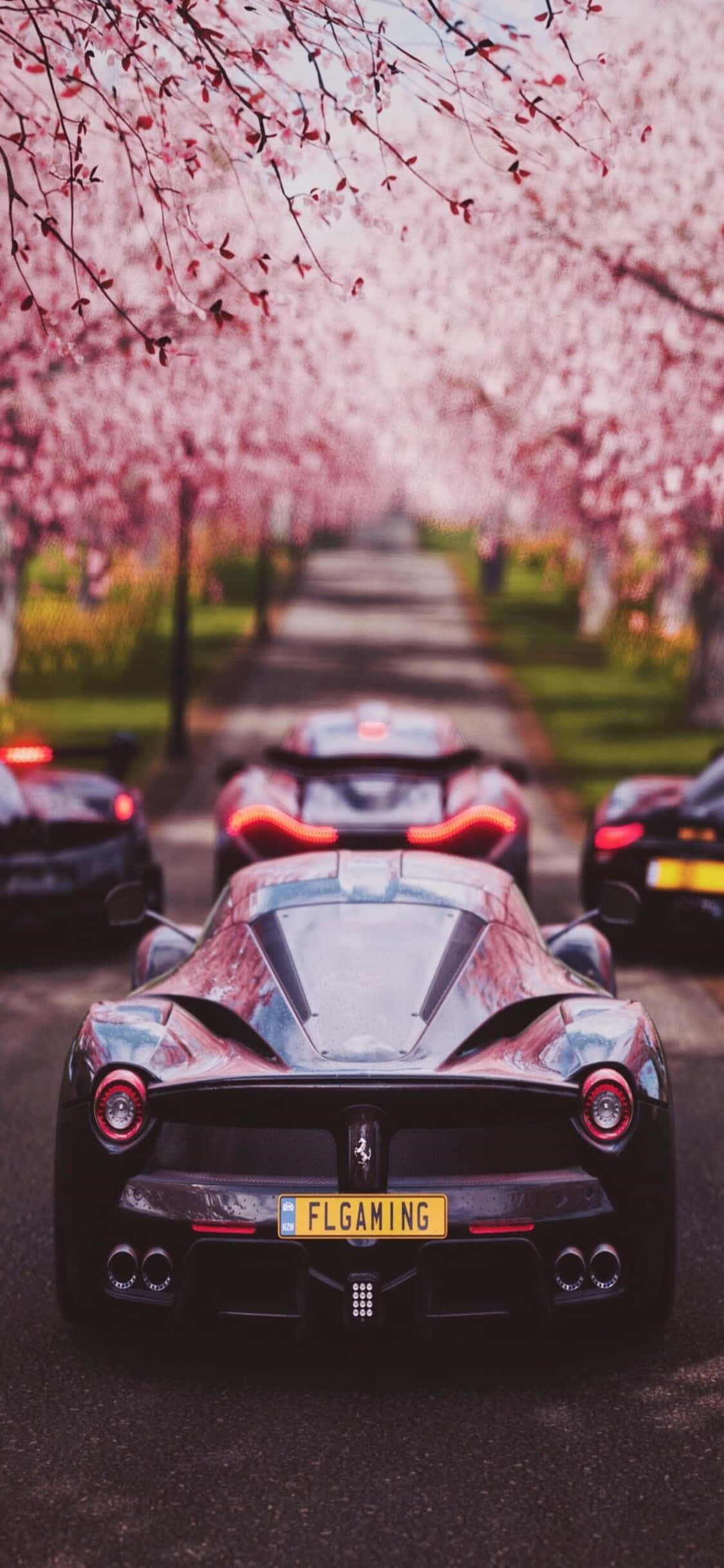 La Ferrari iPhone X Forza Motorsport 7 Arkaplan Duvar Kağıdı