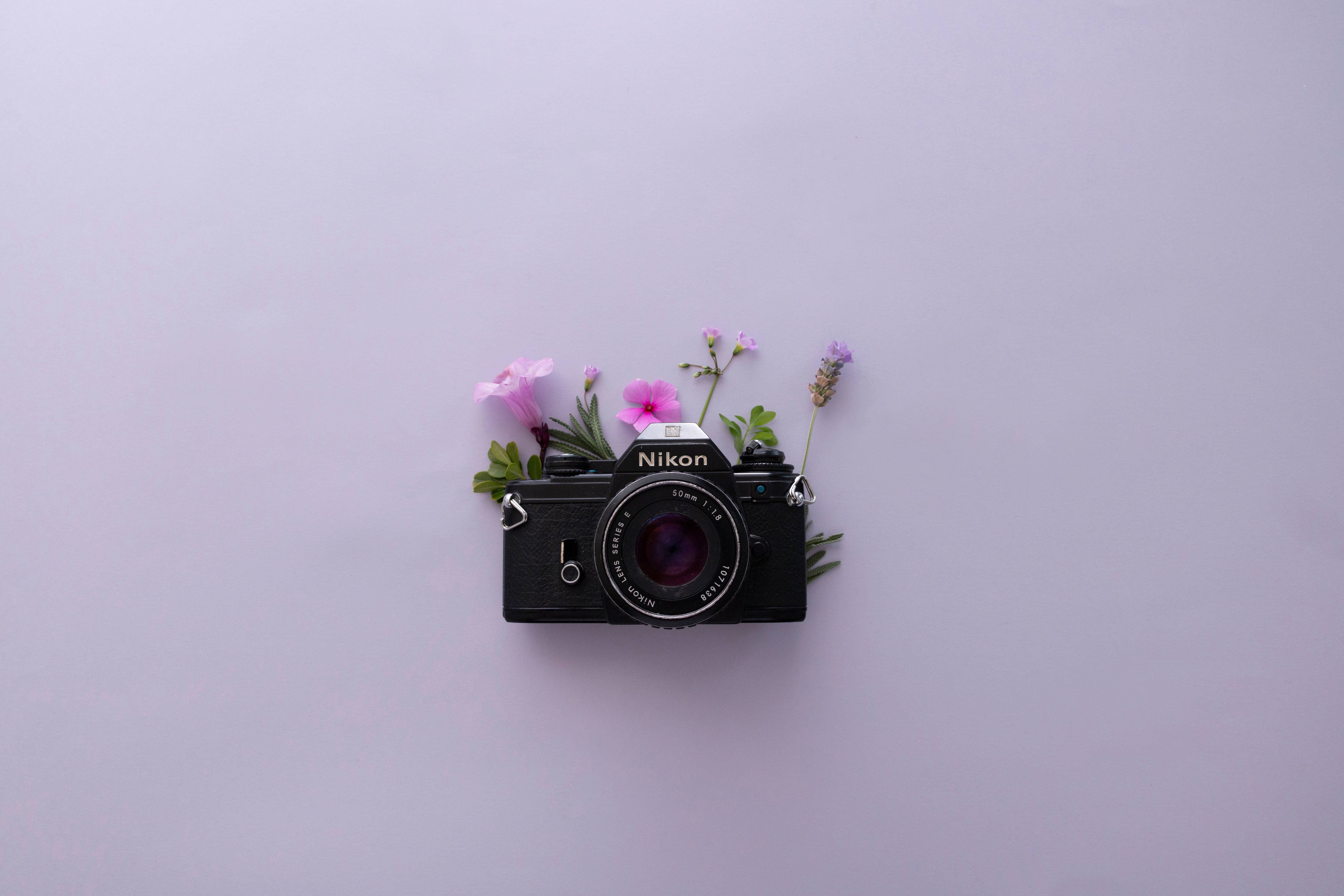 Lavanta Estetiği ve Nikon Kamera Duvar Kağıdı