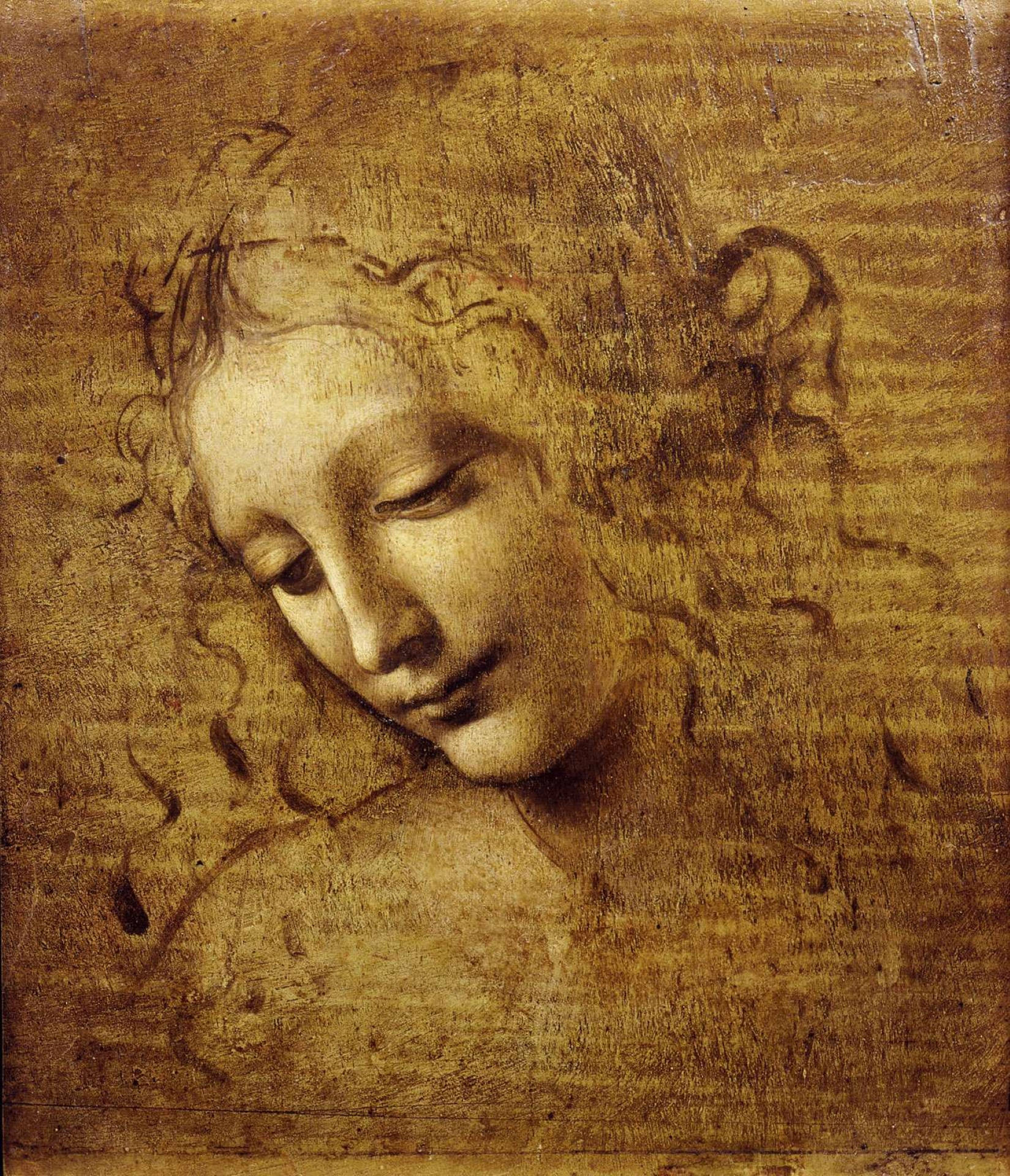 Leonardo Da Vinci Kadın Başı Tablosu Duvar Kağıdı