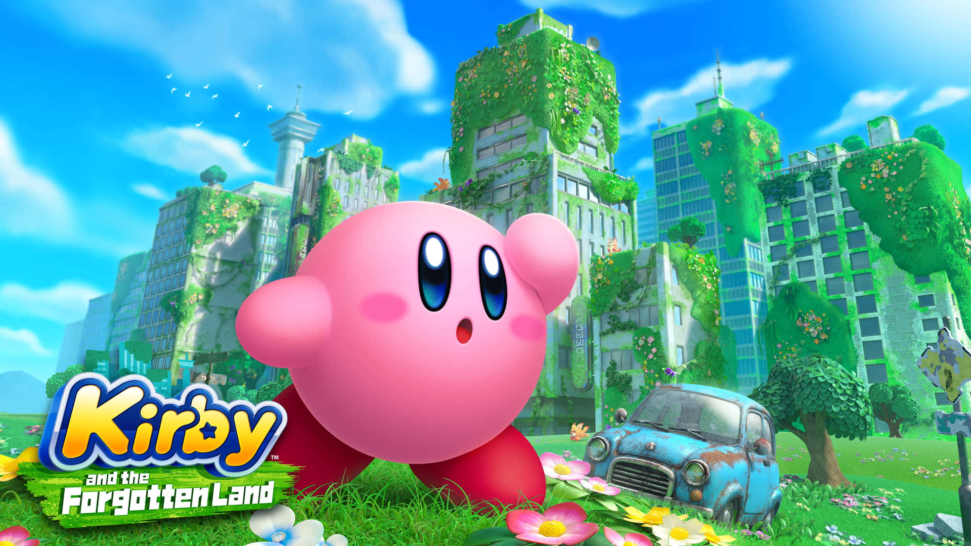 Kirby arka planı — Kirby GIF Duvar Kağıdı