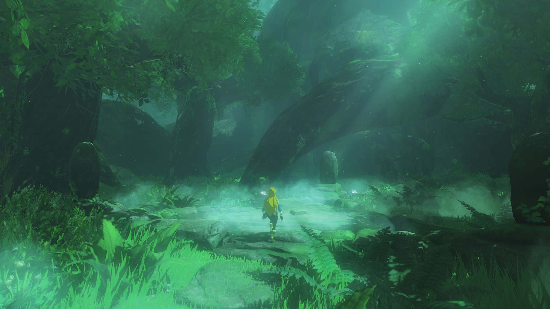 Link'in The Legend of Zelda dünyasındaki yolculuğu Duvar Kağıdı